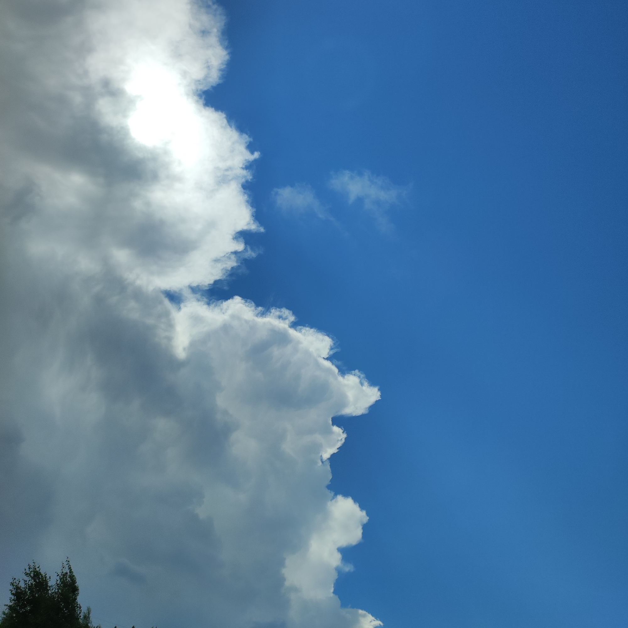 A photograph captures a partially cloudy sky over Kineshma, Russia. The sky is a vibrant blue, with large, fluffy white clouds dominating the left side of the frame. The sun is partially obscured by these clouds, creating a bright, luminous glow. In the lower left corner, the dark green tops of trees are visible, suggesting a landscape below the sky. The image is devoid of any people or discernible urban structures, focusing solely on the natural elements of the sky and vegetation.