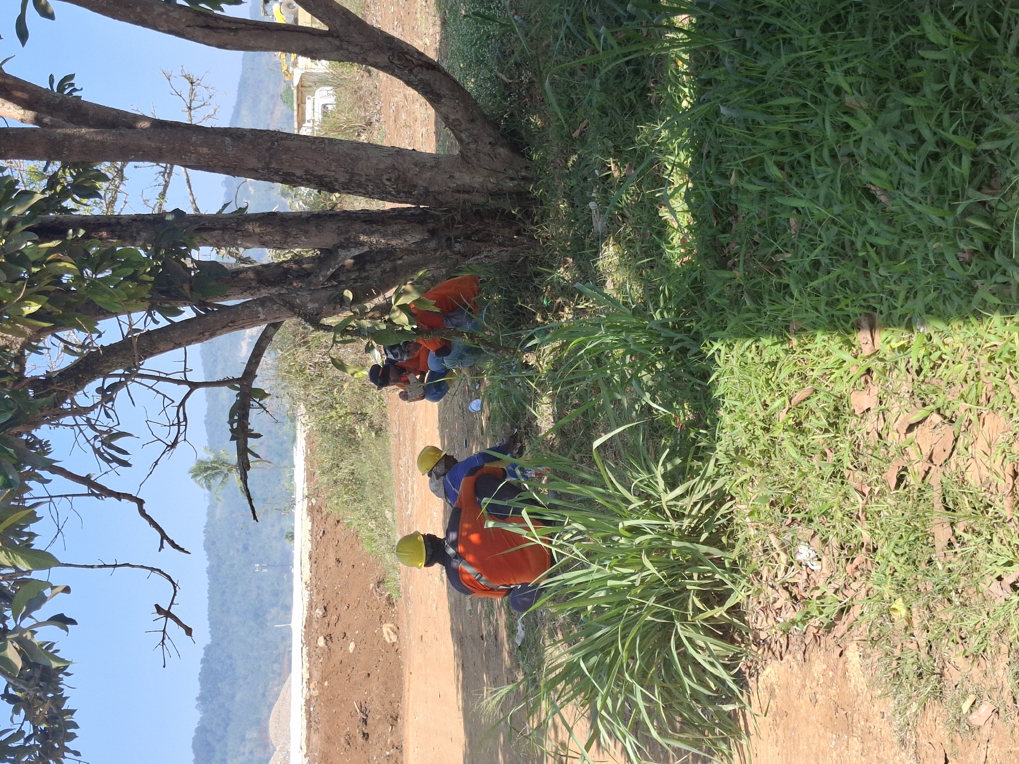 Four individuals, presumably construction workers, are taking a break under the shade of a large tree. All four are wearing yellow hard hats. Two of the individuals are wearing orange shirts, and one is wearing a blue shirt. They are sitting on the ground, some appearing to be eating or resting. The environment is outdoors, with a dirt path and grassy areas. In the background, there is evidence of a construction site, with piles of dirt and what appear to be heavy machinery or vehicles. Hills and a clear blue sky are visible in the distance. The scene suggests a typical workday in Kutasirna, Indonesia.
