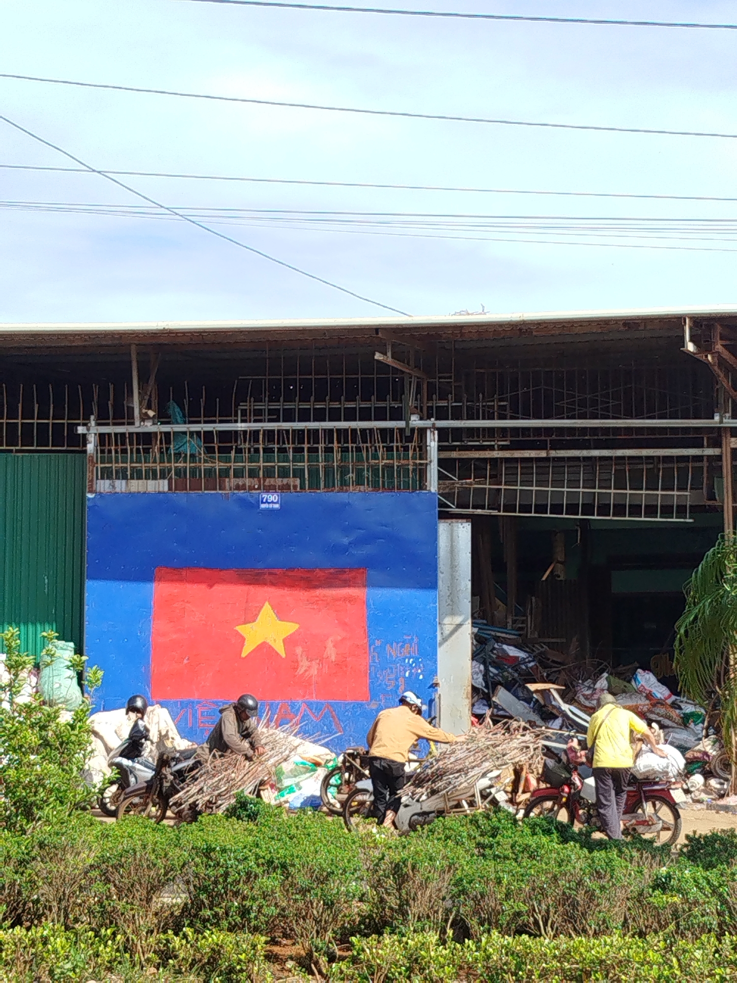 In An Phu Ward, Vietnam, a roadside scene presents a building with a large, blue and red painted facade depicting the Vietnamese flag. A number '790' is visible on the blue section above the flag. The structure behind this facade appears to be an open-air warehouse or industrial space filled with piles of materials, possibly scrap or salvage. In front of the building, four people are positioned around motorbikes laden with bundles of long, thin branches, possibly sugarcane or similar agricultural product. Two of the individuals are actively handling the bundles, while the others are positioned near the motorbikes. All riders are wearing helmets. The foreground is filled with dense green foliage and shrubs. Power lines are visible in the upper portion of the frame, against a blue sky.