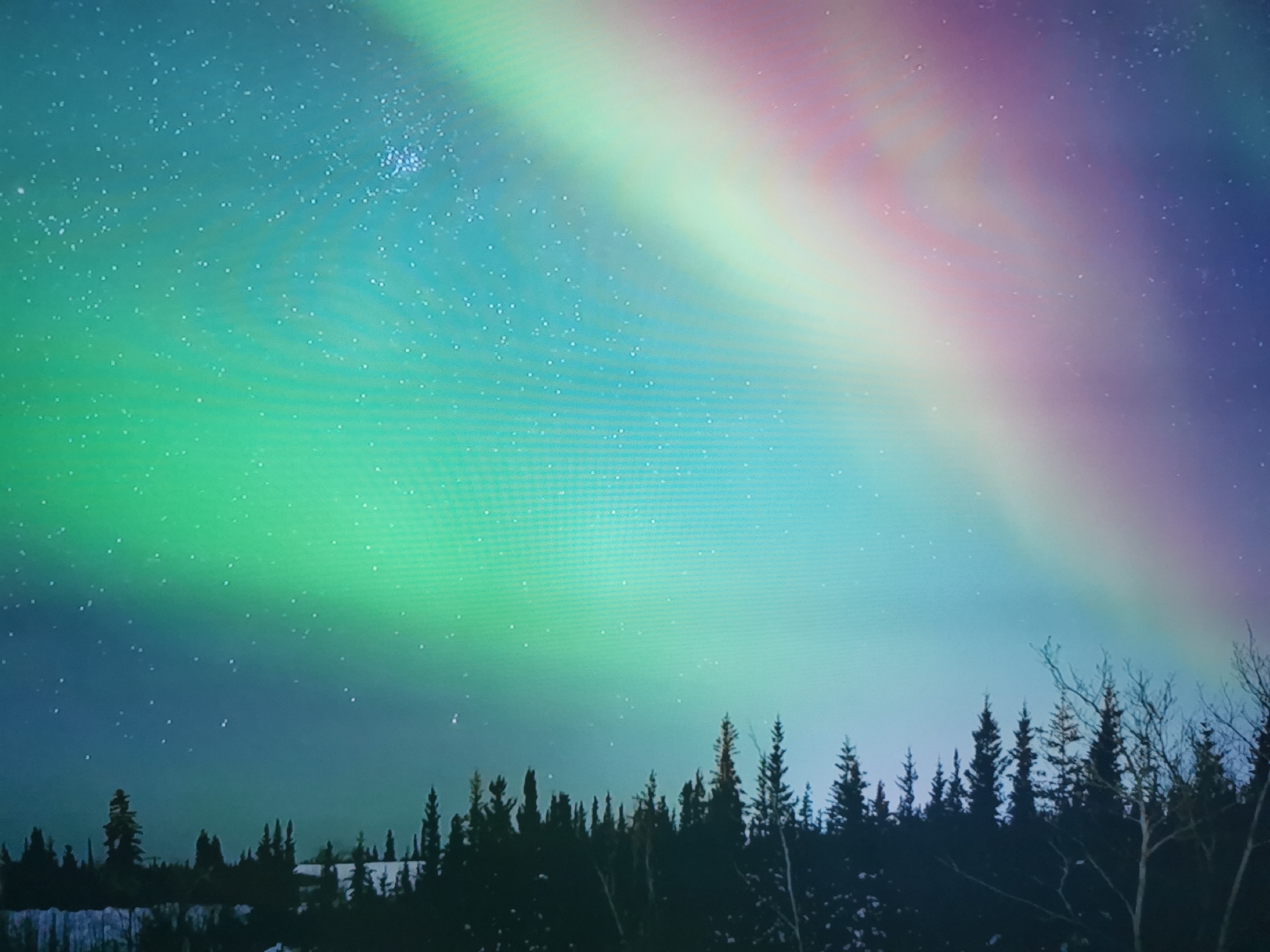 This media file depicts a night sky filled with the aurora borealis, casting vibrant green, blue, purple, and pink hues across the scene. Numerous stars are visible through the celestial display. The foreground is dominated by a silhouette of a dense coniferous forest against the illuminated sky. The trees are dark and tall, with some bare branches of deciduous trees interspersed. Patches of snow can be seen on the ground among the trees, suggesting a winter setting. The overall impression is one of a cold, clear night in a remote, natural landscape. The aurora suggests a time of year and location where such phenomena are visible, though the provided location context of Dnipro, Ukraine, makes this an unusual occurrence, as the aurora borealis is typically seen at much higher latitudes.