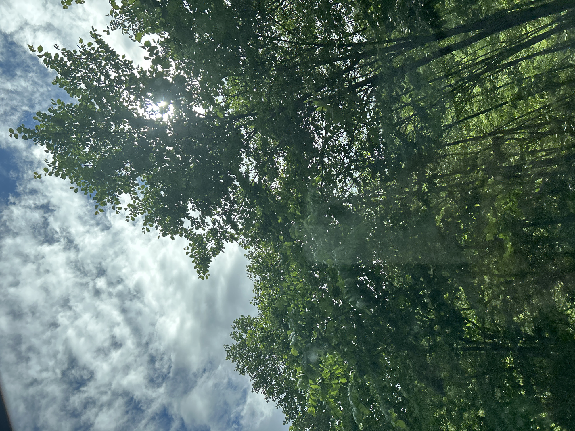 The image shows a view looking up through a canopy of dense green trees towards a sky filled with white and gray clouds. The sun is partially obscured by the leaves, creating a sunburst effect with visible rays of light. The trees appear to be deciduous, with lush foliage. The scene is outdoors and suggests a natural environment, possibly a park or a wooded area. There are no people or man-made structures clearly visible. The location in Усмангали, Russia is not discernible from the visual information provided in the image.