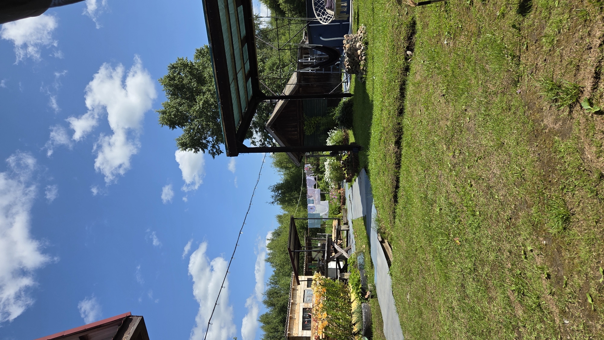 A yard is pictured on a sunny day with a blue sky and white clouds. In the foreground, green grass covers the ground. A paved pathway runs through the grass, leading towards a covered seating area. Beyond the pathway, there are several structures including a wooden building and a covered picnic area with a table and benches. A clothesline with laundry is hung between two poles. Flower beds with orange and white flowers are visible. In the background, a line of trees borders the property. A hammock and a hanging chair are situated under the covered seating area, and a small stone structure resembling a fire pit is nearby.