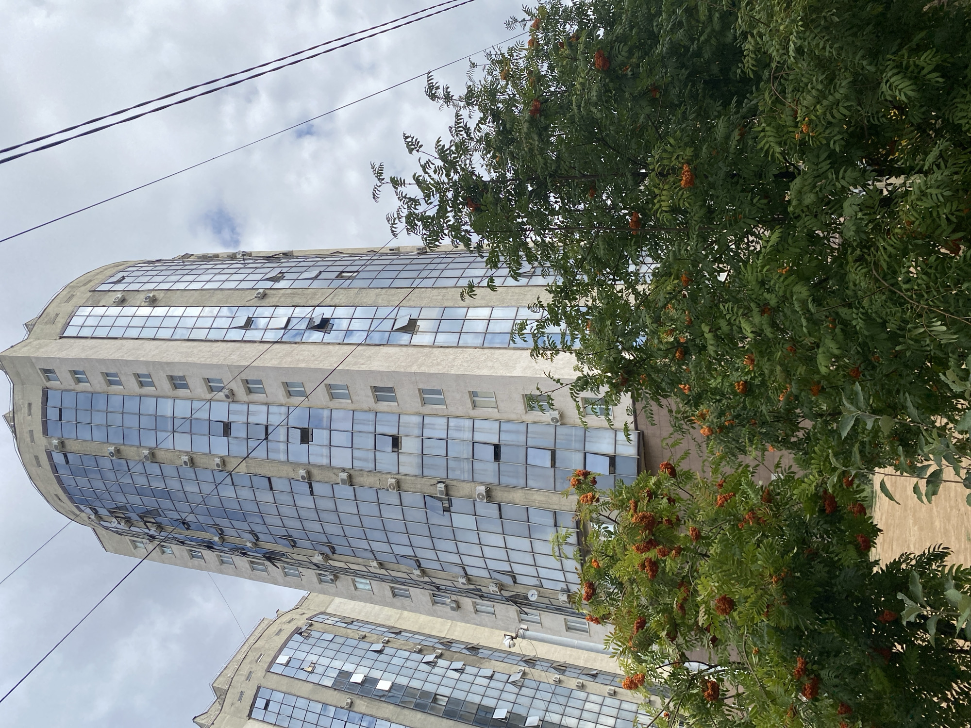 The photograph depicts a cluster of modern, multi-story buildings in Oral, Kazakhstan. The buildings are characterized by their beige exteriors and extensive glass facades, with numerous windows and air conditioning units visible. In the foreground, several rowan trees are laden with bright orange berries, their green foliage contrasting with the urban backdrop. Power lines stretch across the sky, and the clouds suggest an overcast day. The scene appears to be an exterior view of a residential or commercial area.