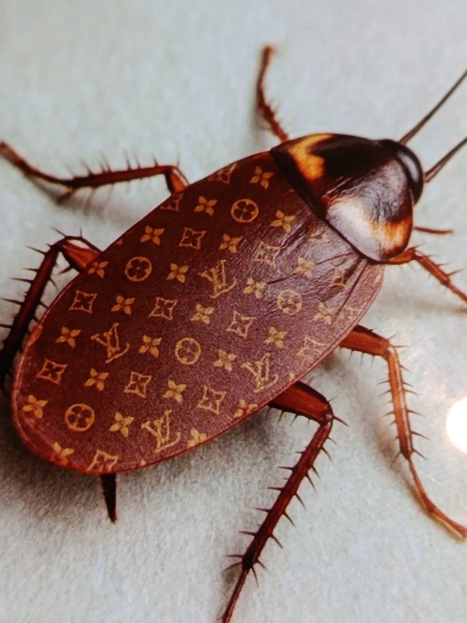 The image shows a close-up, overhead view of a cockroach. The cockroach's exoskeleton is a deep brown color and is patterned with the iconic Louis Vuitton monogram, consisting of the LV logo, quatrefoil, and fleur-de-lis symbols. The roach has prominent antennae and spiky legs. The background is a light, textured surface, possibly a tablecloth or a wall. There is no indication of the city of Odesa, Ukraine, or any urban environment in this image.