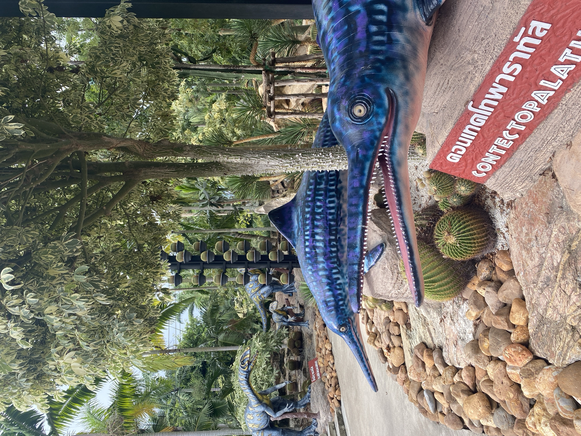 A dinosaur park in Tambon Na Chom Thian, Thailand, features realistic models of prehistoric creatures set amidst lush tropical vegetation and rocky terrain. Two large, blue-scaled marine reptile models dominate the foreground, their mouths open to reveal sharp teeth. One model's head is in close-up, its eye clearly visible. Behind them, a smaller marine reptile model is partially obscured. Further back, in the mid-ground, models of bipedal, bird-like dinosaurs stand on a paved path, with one in the background appearing to be a juvenile. The park's environment includes palm trees, other tropical foliage, cacti, and various rock formations. A red sign with white text, featuring both Thai script and "CONTECTOPALATI," is positioned in front of the marine reptile models, likely indicating the species or exhibit name. The lighting suggests it is daytime, with shadows indicating sunlight. No people are visible in the image.