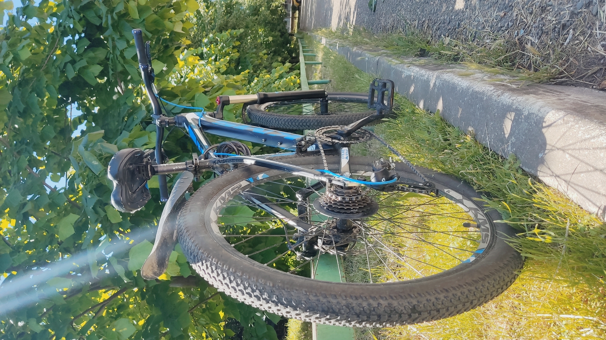 A blue and black mountain bike lies on its side on a grassy patch next to a concrete curb under bright sunlight. The bike is positioned with its frame resting on the ground, and its wheels are prominently featured.
The bicycle features a robust frame with blue and white accents, black handlebars equipped with grips, brake levers, and a multi-functional accessory (possibly a light or speaker) mounted on the left side. A black mudguard is attached to the front wheel. Both wheels have knobby tires, characteristic of a mountain bike, designed for varied terrain. The rear tire sidewall clearly shows the letters "KMS." The drivetrain components, including the chain, which displays "KMC" branding, the cassette, and the rear derailleur, are visible and appear well-maintained. The pedals are flat and black.
The immediate surroundings consist of vibrant green grass, interspersed with some drier patches. A long, grey concrete curb forms a clear boundary between the grass and what appears to be an asphalt road or path beyond. In the background, lush green trees and bushes indicate a natural outdoor setting, possibly a park, roadside, or trail.
The scene is well-lit by direct sunlight, casting distinct shadows, such as those from the curb onto the grass, suggesting it is daytime, likely morning or late afternoon given the angle of illumination. The weather appears clear and sunny. There are no people visible, and the bike is simply at rest on the ground. This outdoor scene is located in Krasnodar, Russia.