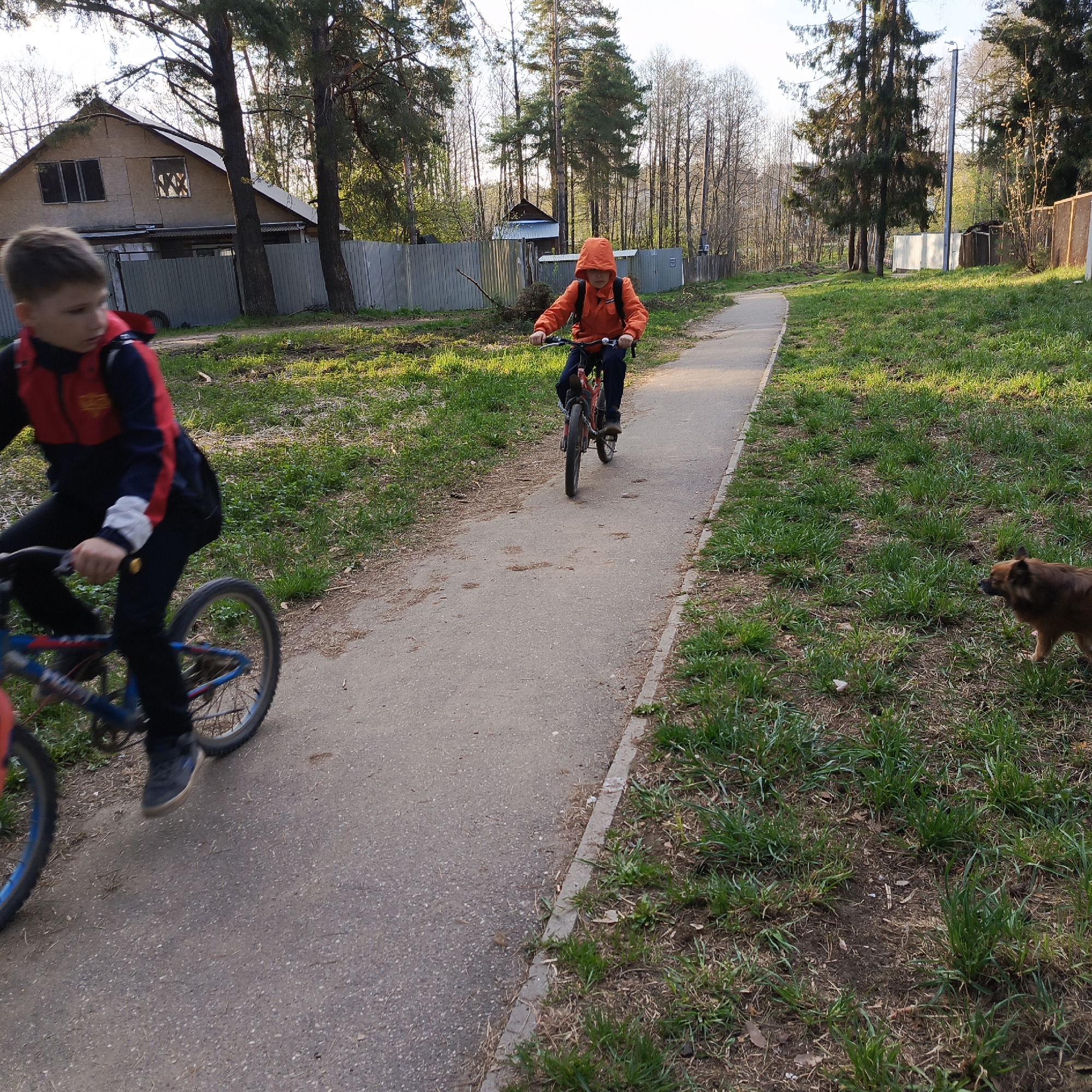 Two boys are riding bicycles on a paved path. The boy in the front is wearing an orange jacket. The other boy is wearing a red and black jacket. To the right of the path, there is a small brown dog on the grass. The location is the city of Chaikovsky, Russia, suggested by the architectural style of the house on the left and the natural environment. The scene is likely a residential area with a park or green space. The image captures an everyday moment of children riding their bikes in a public space.