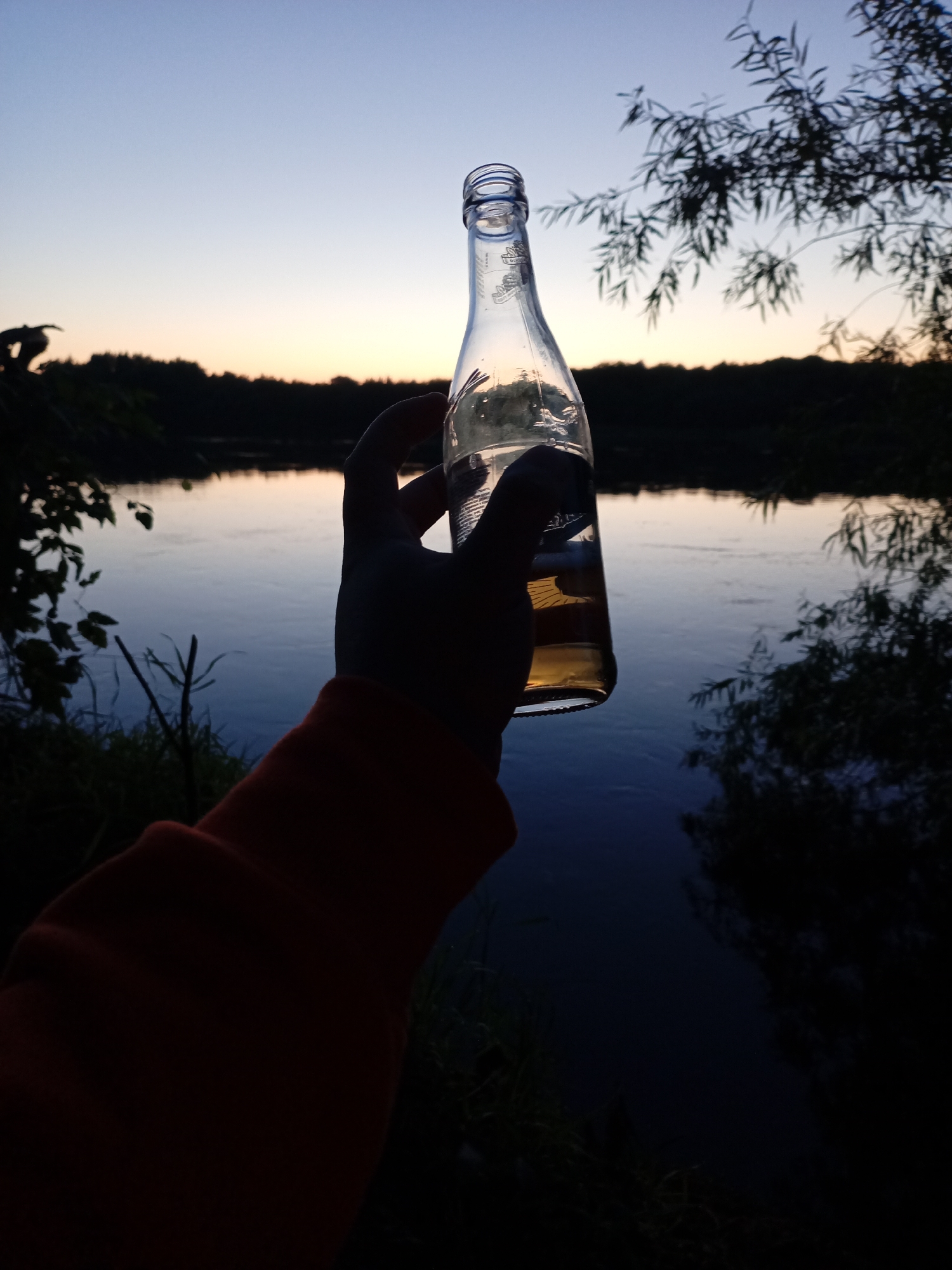 A hand, wearing an orange sleeve, holds a clear glass bottle with a small amount of light brown liquid near the bottom. The bottle is held up against a twilight sky that transitions from pale blue at the top to a faint orange glow near the horizon. In the background, a dark silhouette of trees lines the far bank of a wide, dark body of water, likely a river. Reflections of the sky are visible on the water's surface. Dark foliage, including branches and leaves, frames the upper right of the image. The scene is likely outdoors, possibly by a river or lake, during dusk.