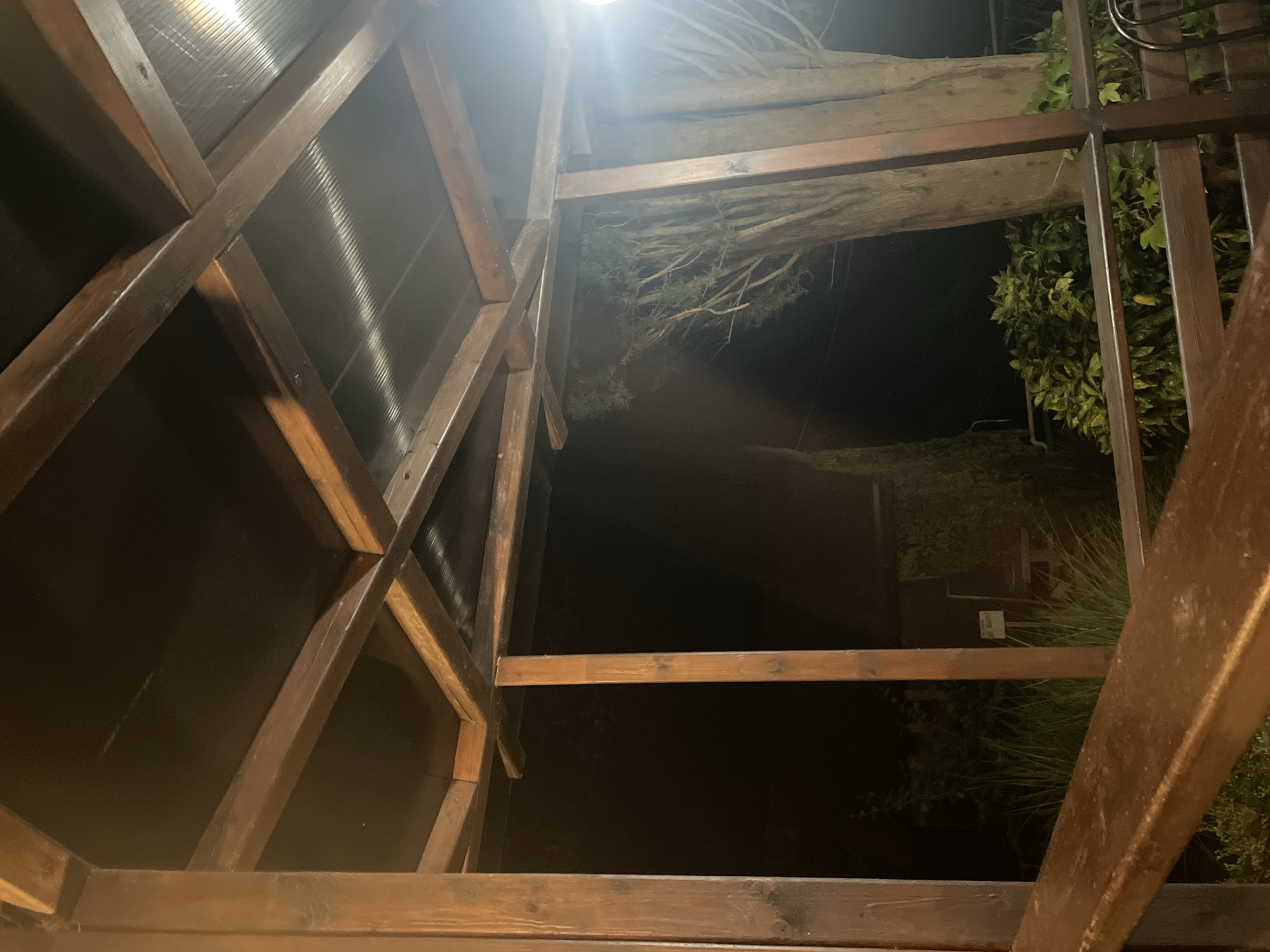 The image depicts the underside of a wooden gazebo at night. The structure features a dark, possibly black, corrugated roof supported by a network of wooden beams. Light, likely from a nearby lamp, reflects off the corrugated surface. In the background, silhouetted against the dark night, are the trunks and branches of trees and some dense foliage. A wooden railing runs along the bottom of the frame. The scene appears to be outdoors, possibly in a garden or patio area.