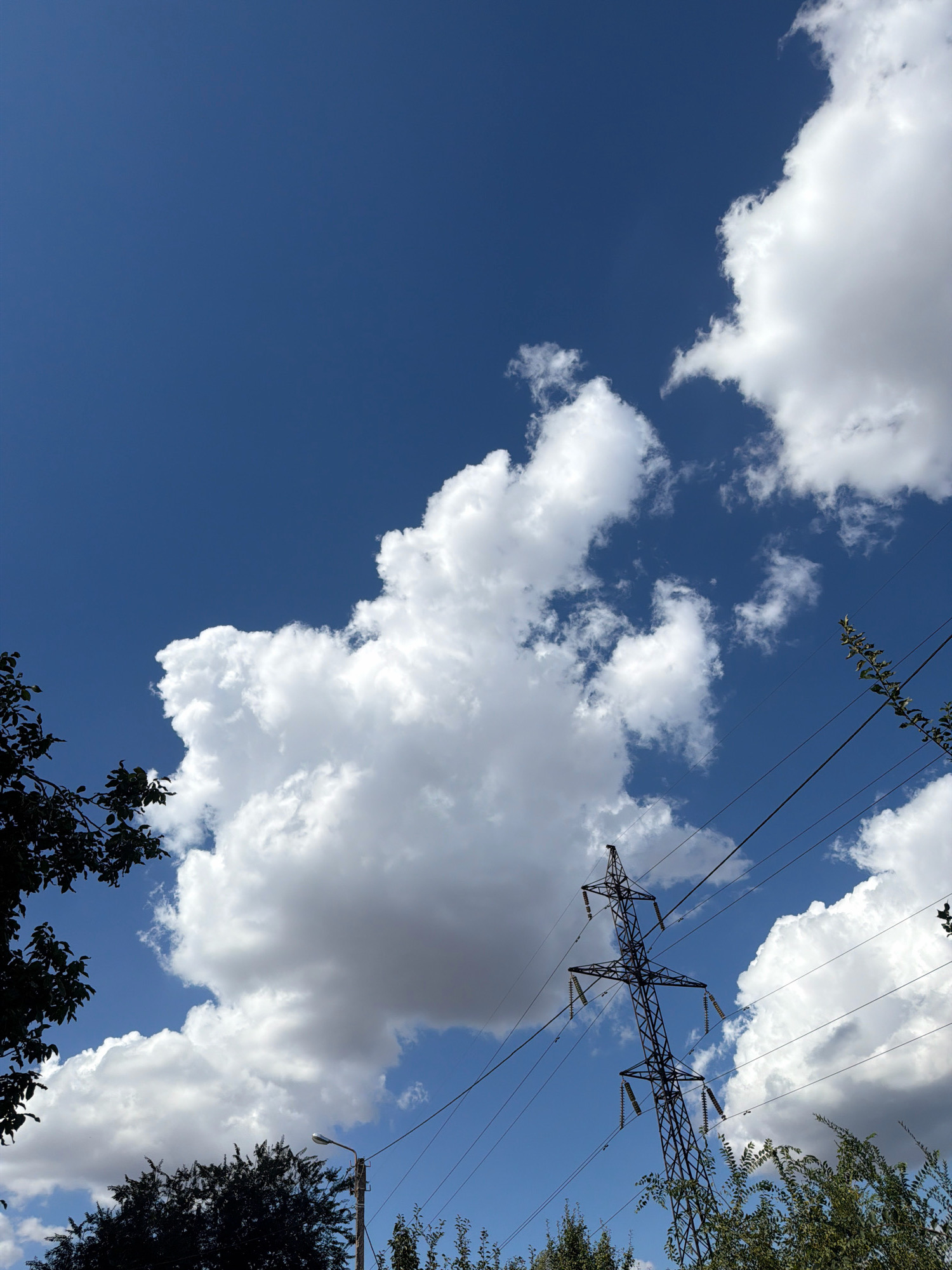 A low-angle, full-shot photograph captures a bright blue sky dotted with fluffy white cumulus clouds. In the foreground, to the left, is a dark silhouette of tree branches. A tall, metal electricity pylon dominates the right side of the frame, with power lines stretching across the sky. To the bottom right, more green foliage is visible. A street lamp is perched on a pole to the lower left, also silhouetted against the sky. The scene appears to be outdoors, likely in an urban or suburban environment, given the presence of the pylon and street lamp.