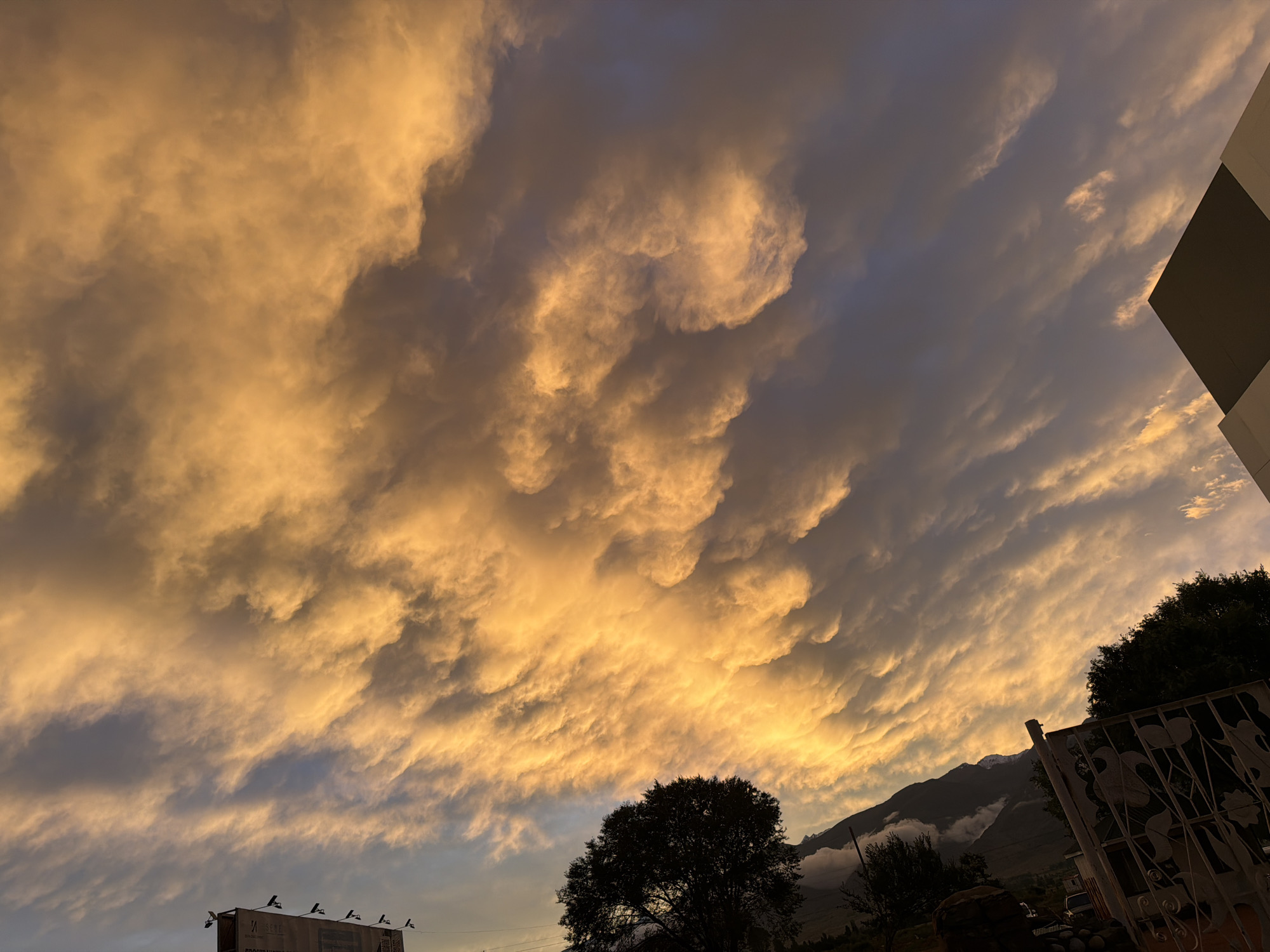 The image shows a dramatic sky filled with golden-yellow clouds, likely at sunset or sunrise, illuminated by the sun's rays. These clouds are textured and appear to be breaking apart, creating an awe-inspiring scene. Below the sky, there is a mountainous landscape partially obscured by clouds. In the foreground, on the right side of the image, part of a modern building with a dark facade and a lighter corner is visible. On the left side, a billboard with some text and a silhouette of a large tree are present. The overall impression is of a natural landscape meeting urban elements, with the sky being the dominant feature. The specific location is Çolpon-Ata, Kyrgyzstan, which is known for its scenic beauty around the Issyk-Kul Lake and surrounding mountains.