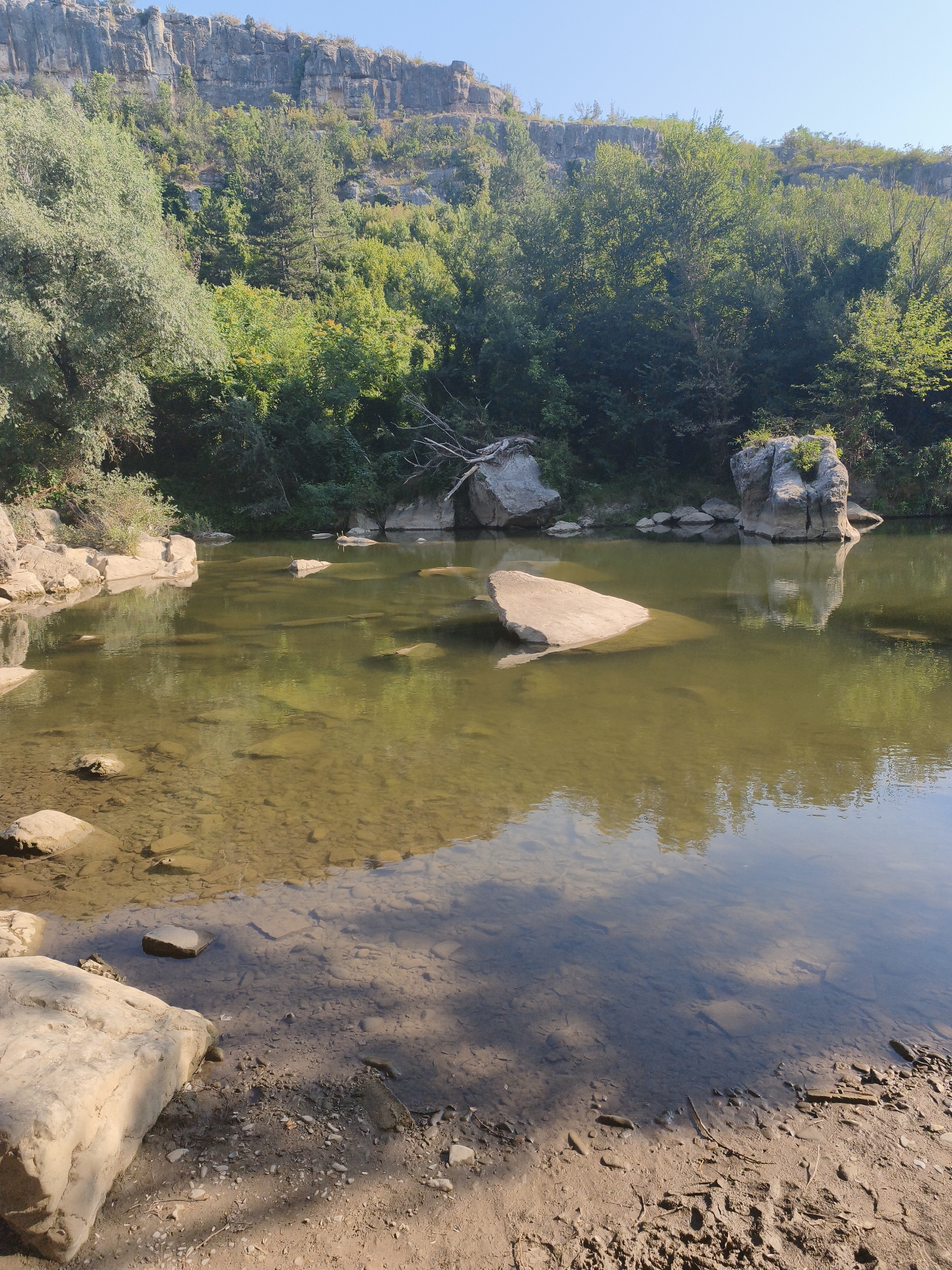 This image depicts a scenic view of a river flowing through a rocky, forested landscape. The river is shallow in places, with clear water revealing the riverbed and scattered stones. Several large, flat rocks are partially submerged in the water, while others are visible along the banks. The banks are composed of sand and pebbles, with some debris scattered on the ground.
The background is dominated by a steep, rocky cliff face, layered and weathered, with sparse vegetation growing on its ledges. Below the cliffs, a dense forest of green trees covers the slopes. The sky is clear and blue, indicating a sunny day. The overall impression is one of a natural, untouched environment.
This scene is likely located at thecretion of the river, a prominent geological feature in the city of Lovech, Bulgaria.