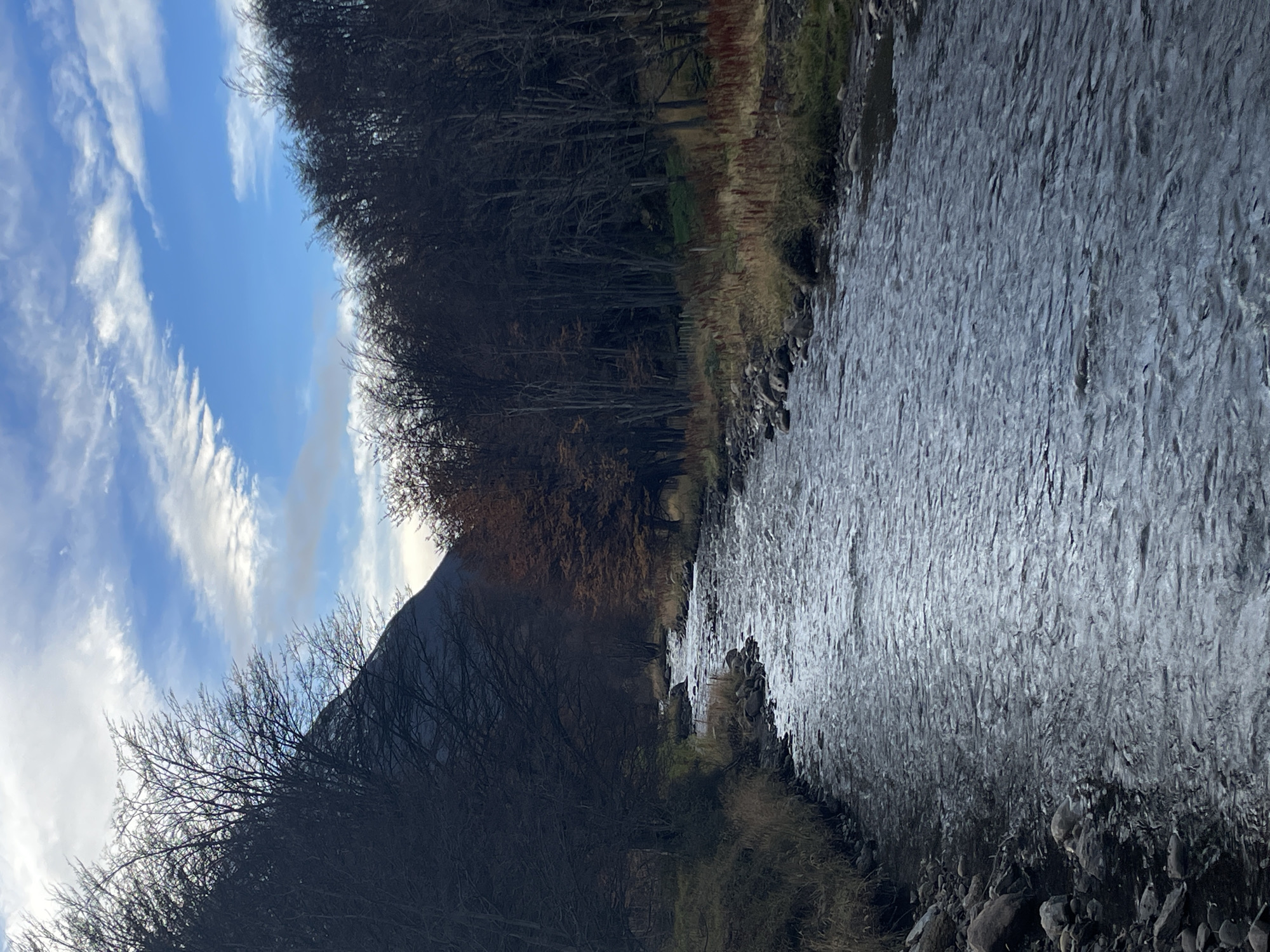 The image depicts a river flowing through a landscape with trees on either side. The river water appears rippled, suggesting movement. The trees are mostly bare, hinting at a colder season, possibly late fall or winter. On the left side of the image, a mountain or a large hill is visible, partially obscured by the trees. The sky is blue with scattered white clouds. This location is in Ushuaia, Argentina.