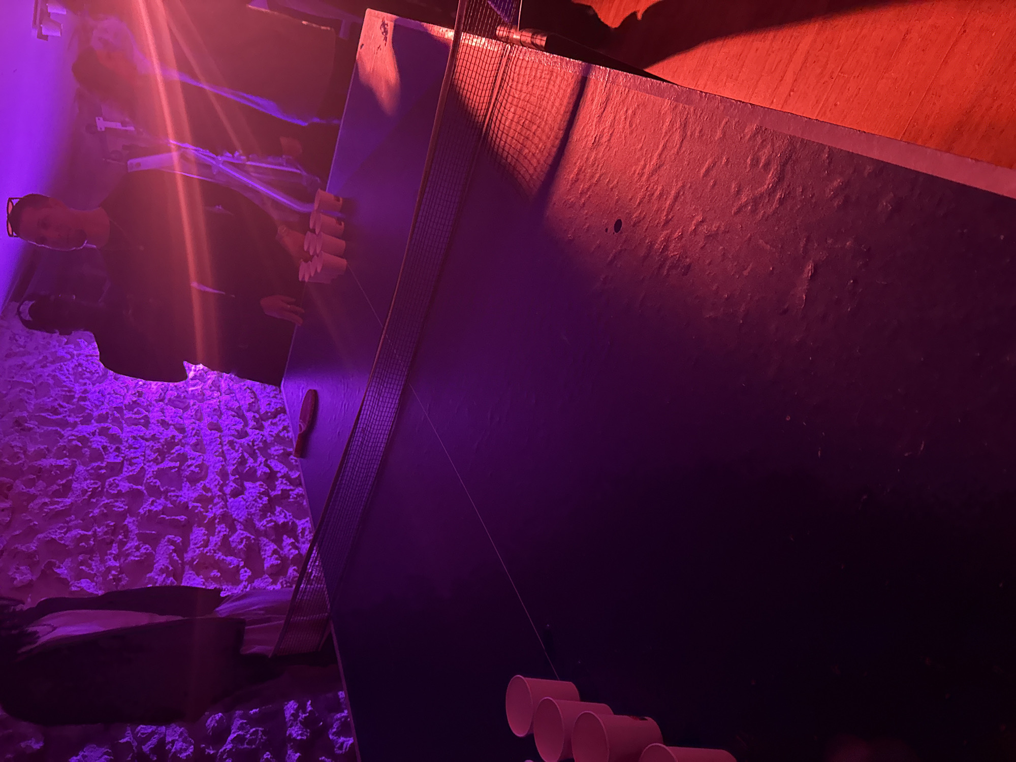 The image shows a group of people standing near a ping pong table in a room illuminated by violet and red lighting. Some paper cups are arranged on the table, which has a net dividing it. One person wears sunglasses and is looking at the camera. The textured wall behind them is also illuminated with purple lighting. The location is in the city of Palaiseau, France.