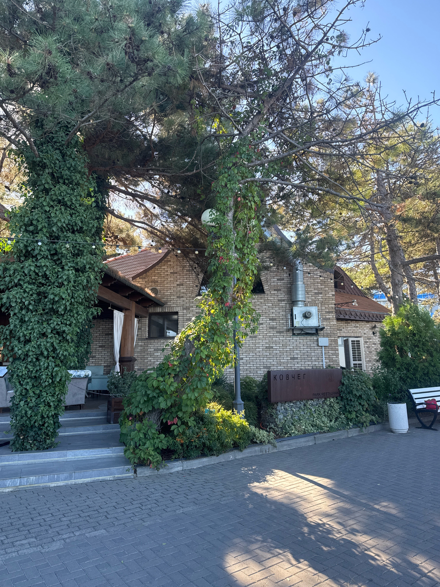 This is a medium-shot, eye-level, outdoor photograph of a park restaurant in Anapa, Russia, on a sunny day. The restaurant is a two-story brick building with a brown, gabled roof. Ivy covers portions of the exterior walls and trees. A large pine tree with green needles and cones stands to the left of the building, its trunk wrapped in ivy. A sign with Cyrillic text that reads "КОВЧЕГ" and "PARK RESTAURANT" is mounted on a stone wall in front of the building. There is a paved walkway in the foreground, and a white bench with a red backpack on it is visible to the right. The sky is clear and blue.