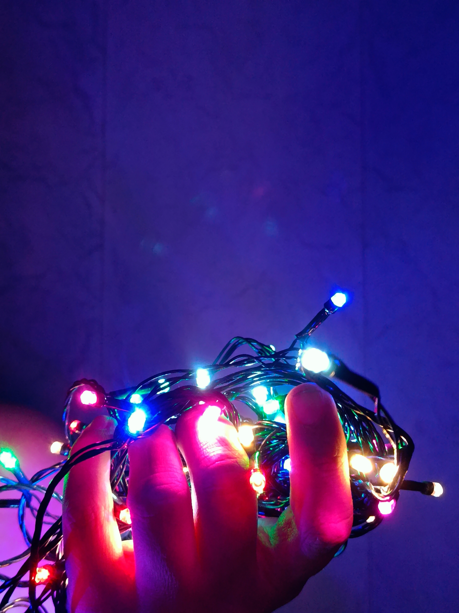 A hand holds a tangled string of Christmas lights with multi-colored bulbs (red, green, white, blue, pink) against a blurred dark blue background. The scene is indoors, but the specific location is not discernible.