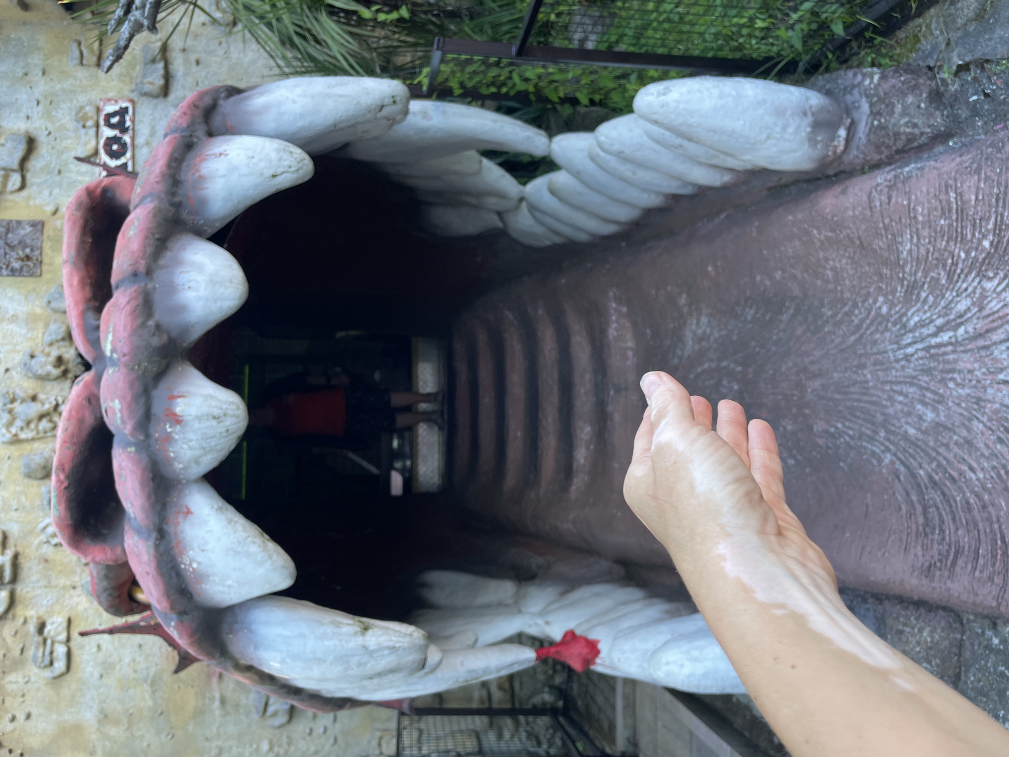 An image shows a person's hand in the foreground, reaching towards a large, stylized dragon's mouth sculpture. The sculpture features massive, white, pointed teeth and a red interior, appearing to be an entrance to a slide or attraction. The background shows a textured, stone-like wall with a sign reading "loa" and some greenery. This dragon's mouth sculpture is part of the "Dreamworks" animation park in Sochi, Russia, located on the coast of the Black Sea. The park, opened in 2014, is home to a variety of themed rides and attractions based on DreamWorks Animation films, including Shrek, How to Train Your Dragon, and Madagascar. The hand in the foreground, with visible vitiligo, is a human element interacting with the fantasy-themed sculpture, highlighting the blend of real and imagined worlds within the park. The overall scene suggests a playful and adventurous atmosphere, typical of a theme park environment.