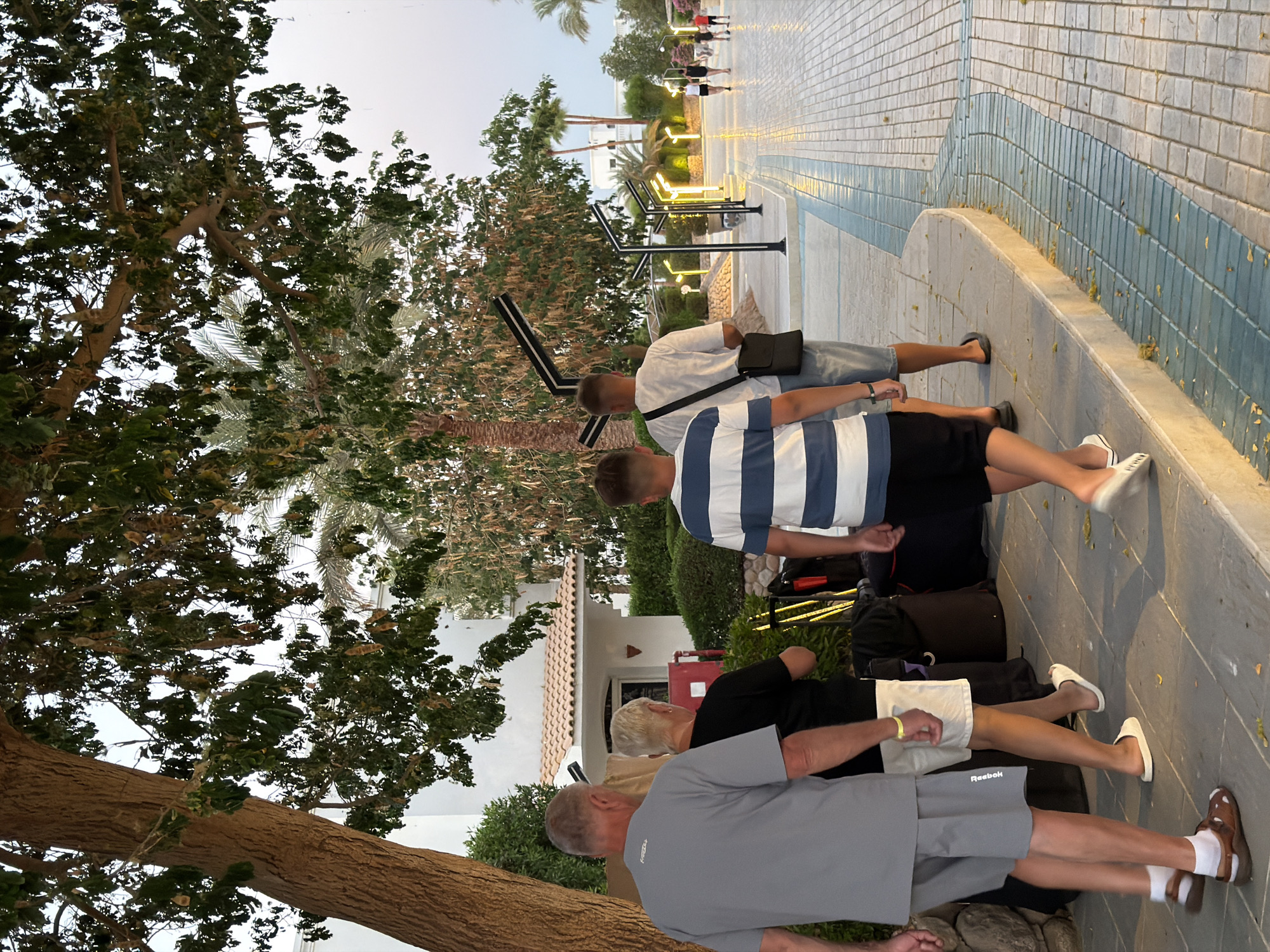 In Sharm El Sheikh, Egypt, two men and a woman walk away from the camera on a paved walkway lined with palm trees and modern lampposts. The man in the foreground, wearing a grey t-shirt and shorts, is on the left. Next to him is a woman in a black top and white shorts, followed by a young man in a striped t-shirt and black shorts. Behind them, another man in a white t-shirt and shorts carries a black bag over his shoulder. The walkway, made of interlocking bricks, curves to the right and is illuminated by warm-toned lights from the lampposts. In the background, a white building with a tiled roof is visible, surrounded by lush greenery. The sky is a pale blue, suggesting either early morning or late evening. Several large bags, possibly luggage, are placed on the ground near the group. In the distance, other individuals are walking along the same path.