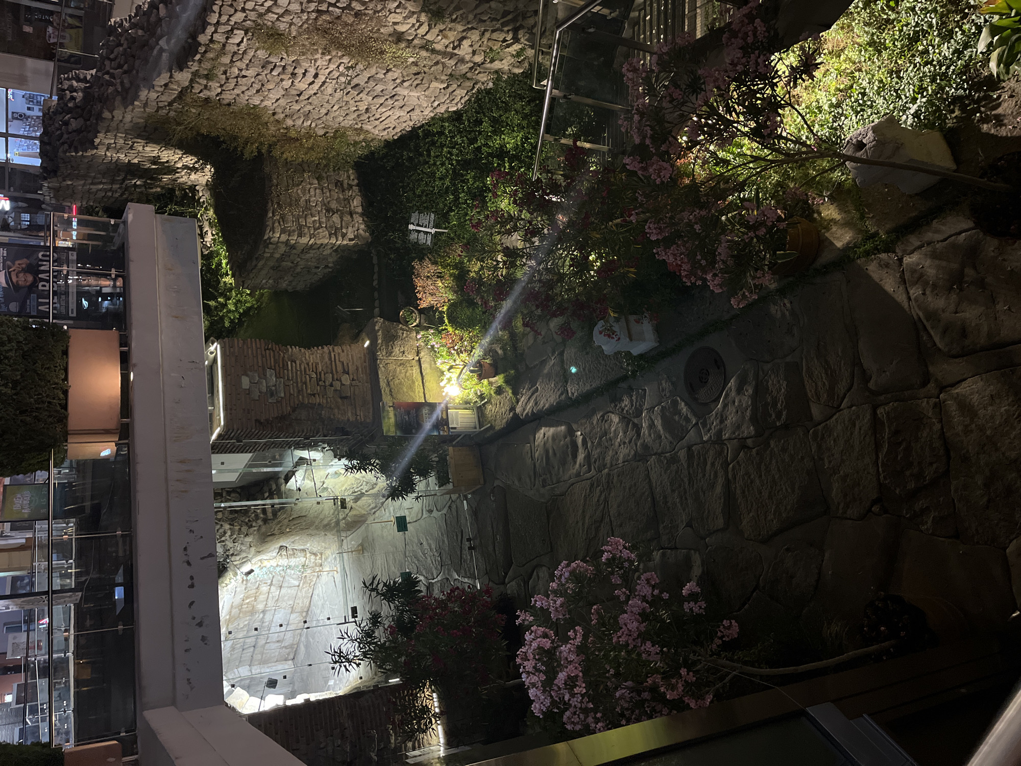 The image shows an outdoor area at night in Plovdiv, Bulgaria, featuring ancient Roman ruins integrated into a modern urban landscape. The foreground displays a cobblestone pathway leading into a well-lit excavated area with exposed stone walls, suggesting an archaeological site. To the right, a stone wall, part of the ancient fortifications, is visible, with greenery growing on it. Several potted plants with pink and red flowers are strategically placed along the pathway and surrounding gardens, illuminated by artificial lighting. A modern glass railing and staircase are also present, indicating public access. In the background, parts of a commercial building with storefronts and signage are visible above the ruins, highlighting the juxtaposition of ancient and contemporary elements. There are no people visible in the scene. The overall impression is that of a preserved historical site within a bustling city environment, illuminated for nighttime viewing.