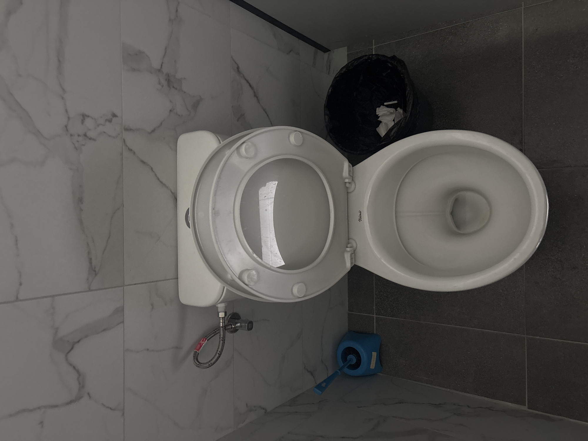 A high-angle, medium shot reveals a toilet and wastebasket in a bathroom. The toilet, predominantly white, features an open seat and lid. The adjacent wastebasket, black and overflowing with crumpled white paper, sits on the right. A blue toilet brush and its holder are positioned on the floor next to the toilet. The bathroom walls and floor exhibit a gray tile pattern. The location is inferred to be in Zlatograd, Bulgaria.
