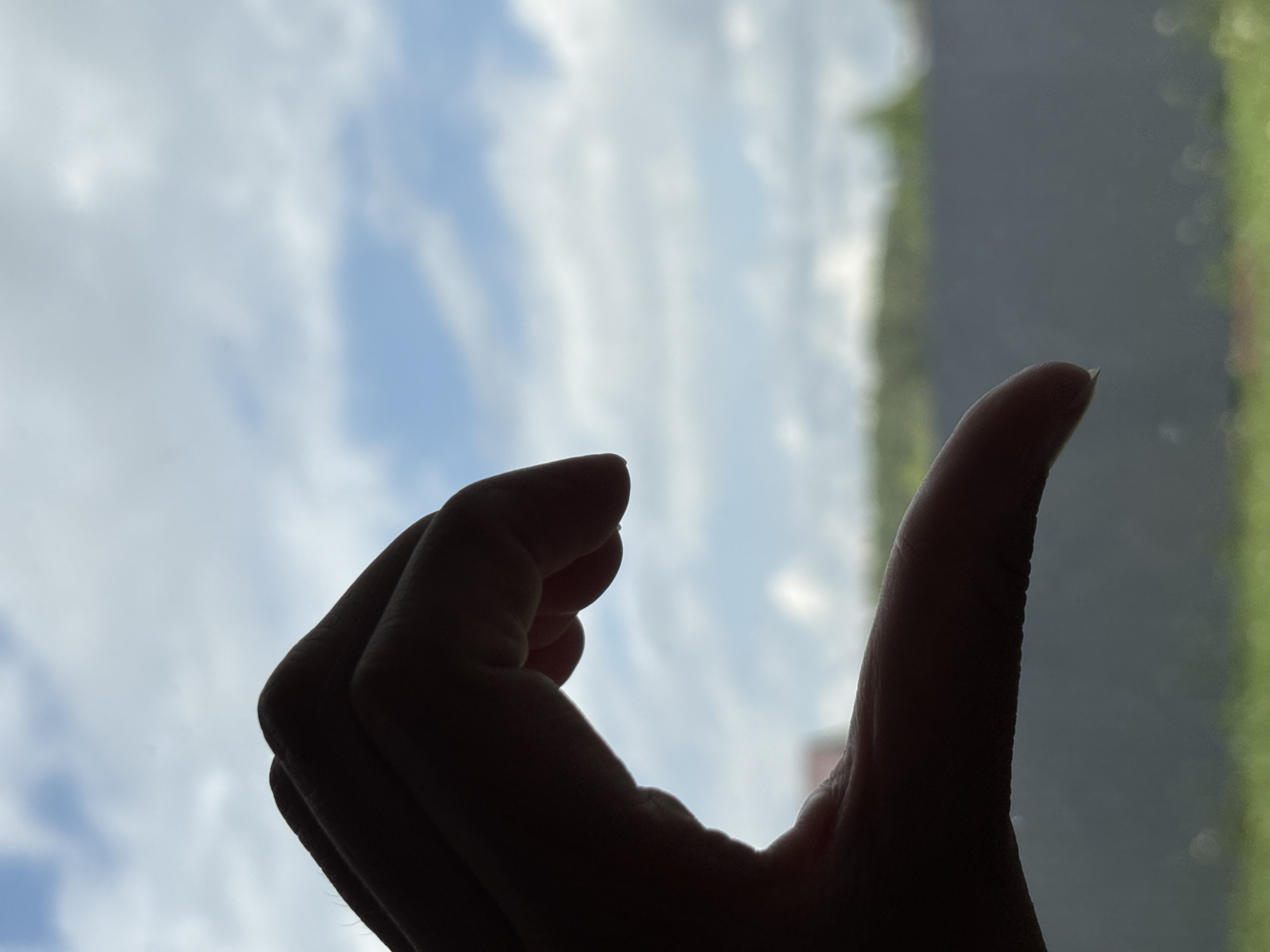 The image shows a hand in silhouette against a background of sky with clouds on the left and greenery on the right. The hand is positioned in a way that the thumb is extended upwards and the other fingers are curled inwards. The specific location in the city of Ембаево, Russia is not discernible from the visual information provided.