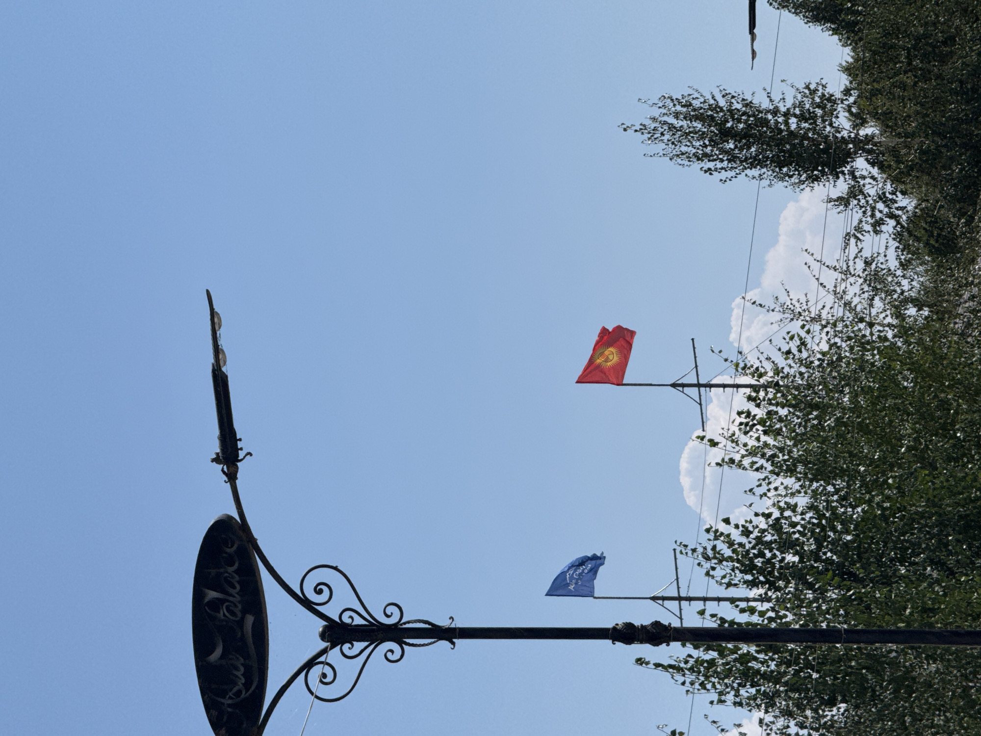 The image depicts a clear, blue sky above a lush green tree line, with a wrought-iron lamppost prominently featured on the left. The lamppost has an ornate, heart-shaped scrollwork design at its base and an oval sign with script text attached to its upper portion, which appears to read "Chui Palace." Two flags are visible; a blue flag with white lettering is flying on a pole to the left of the lamppost, and the flag of Kyrgyzstan, a red flag with a yellow sun in the center, is flying on a pole to the right. Power lines are strung across the middle ground, and several trees, some tall and slender with sparse leaves, others with dense foliage, fill the lower part of the frame. The overall scene suggests an outdoor public space, possibly a park or street in Sary-Oy, Kyrgyzstan. There are no people visible in the image.