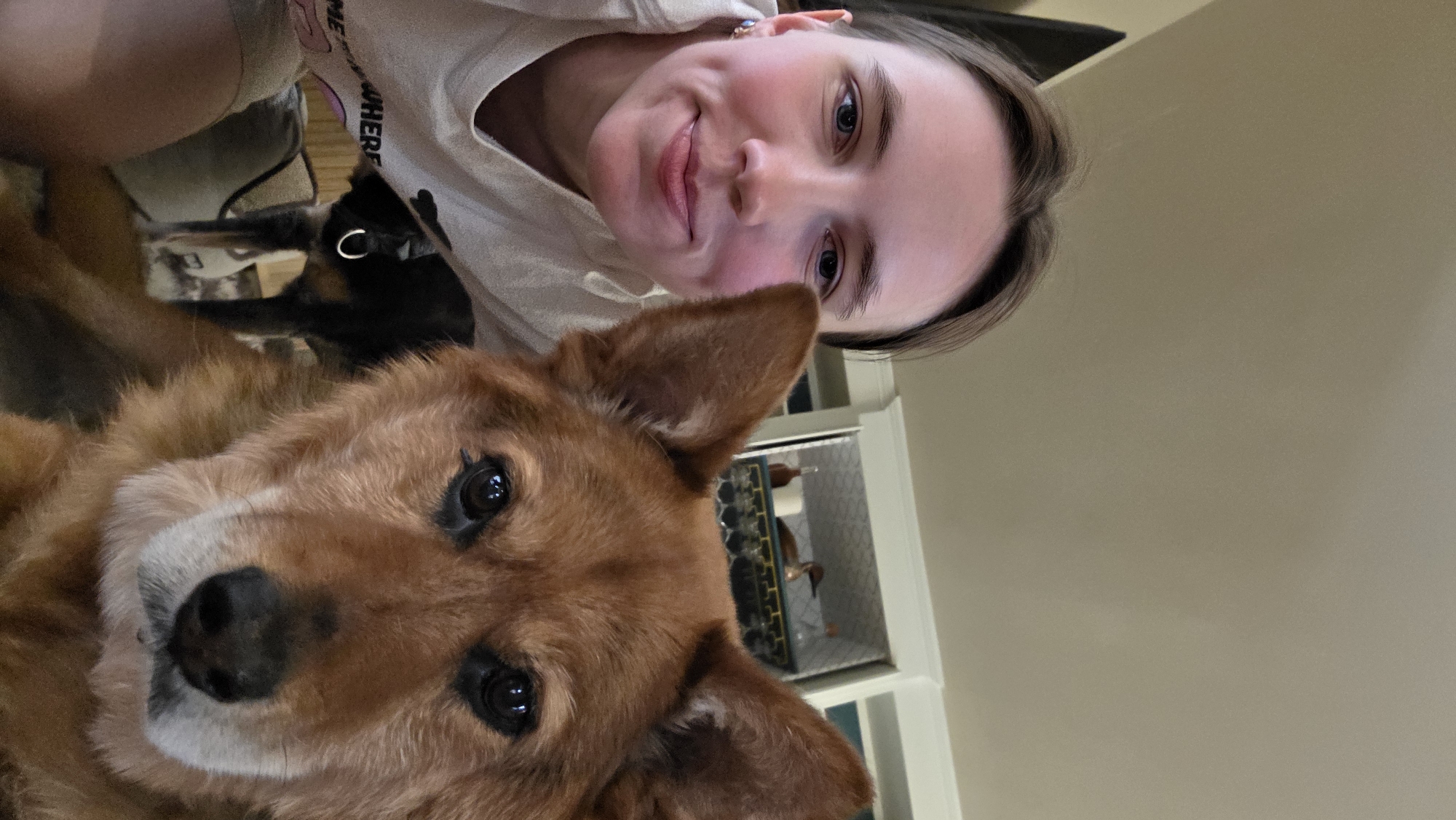 This is a selfie taken indoors, likely at home, given the casual attire and furniture visible in the background. The primary subjects are a young woman and her dog, positioned close together and looking towards the camera. The woman, with light skin and dark hair, is wearing a light-colored hooded sweatshirt. Her face is turned towards the camera, and she has a slight smile. She is wearing subtle makeup, including blush and mascara.
The dog, a medium-sized breed with reddish-brown fur and floppy ears, is in the foreground, partially obscuring the woman. Its face is also turned towards the camera, with dark, expressive eyes and a black nose. The dog appears relaxed and comfortable. Behind the dog, another smaller dog, possibly a black and tan dachshund mix, can be seen wearing a collar with a buckle.
The background is somewhat out of focus but reveals details suggestive of a home environment. There are shelves with items on them, including what appears to be a decorative item or figurine. The walls are a neutral, light color, and a door frame is partially visible on the right. The lighting suggests it is daytime, but the indoor setting makes it difficult to determine the exact time of day or weather.
The overall mood of the image is warm, friendly, and intimate, capturing a moment of companionship between the woman and her pets. The selfie format and close proximity of the subjects indicate a personal and casual interaction. There is text visible on the woman's sweatshirt that reads "WHERE".