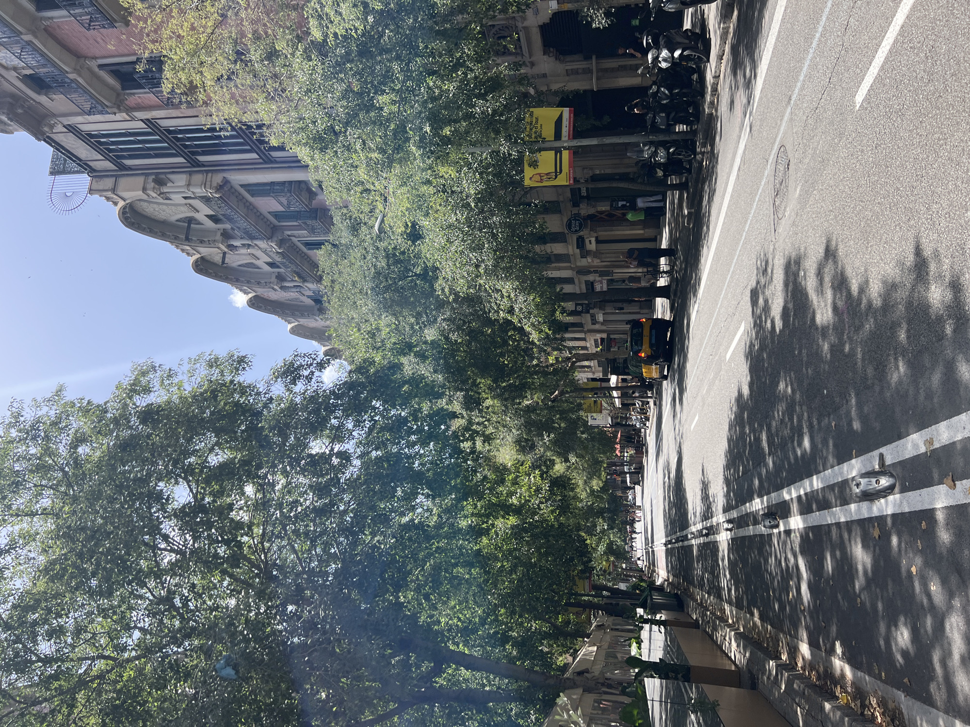 The image shows a street scene in Barcelona, Spain, bathed in sunlight. The perspective is from the sidewalk, looking down a tree-lined street. On the left, ornate building facades with balconies and arched windows rise up, typical of Barcelona's architecture. Lush green trees with full canopies create a dappled shade over the sidewalk and partially obscure the buildings.
On the right side of the image is the asphalt road, marked with white lines. A row of parked motorcycles and scooters lines the edge of the road, indicating a busy urban environment. Further down the street, more parked vehicles and some people can be seen, suggesting daily life is in full swing. Shadows of the trees stretch across the road, indicating it's likely late morning or early afternoon.
A few yellow signs are visible on poles amidst the trees. One sign appears to have text and an image of a person. Another sign further down has text and what looks like a silhouette of a bull. In the distance, a yellow and black taxi is visible. The overall mood is bright and sunny, typical of a pleasant day in a European city. The scene is one of everyday urban activity, with a blend of historic architecture and modern transportation.