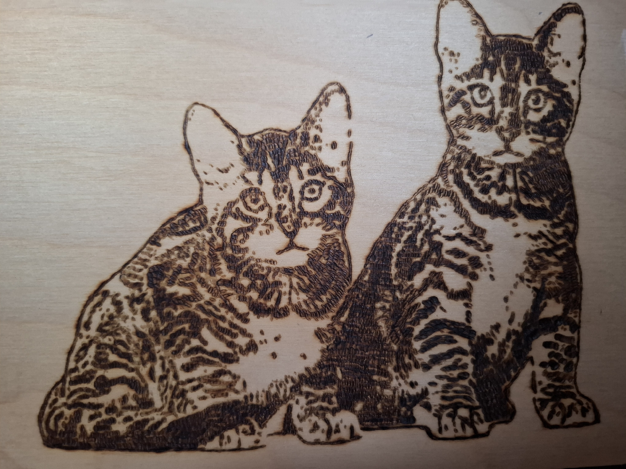 The image shows a wood-burned depiction of two tabby cats. The cat on the left is seated, facing forward with a slight tilt of the head. The cat on the right is standing or sitting upright, also facing forward. The wood grain is visible and acts as a backdrop for the cats, which are delineated by varying shades of brown. The location is irrelevant as the woodburning could have taken place anywhere.