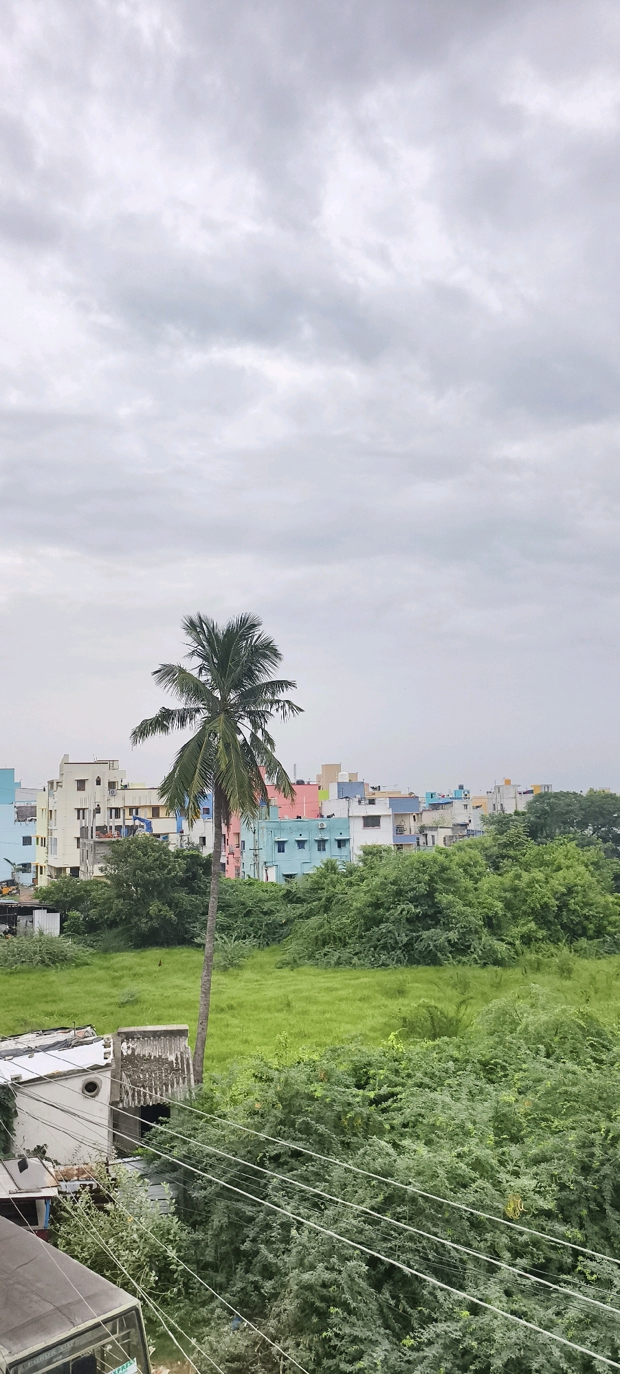 The image depicts an overcast sky over a residential area in Kundrathur, India. In the foreground, a tall, slender coconut palm tree stands in a grassy field. Behind the palm tree, a cluster of multi-colored buildings, varying in height and architectural style, are visible. These buildings are painted in shades of blue, pink, yellow, white, and light orange. Dense green foliage, likely trees and shrubs, forms a thick line between the buildings and the field. In the bottom left of the frame, parts of a vehicle and some structures with exposed wiring can be seen, suggesting a built-up area adjacent to the open field. The overall scene conveys a sense of urban expansion amidst natural greenery under a cloudy sky.