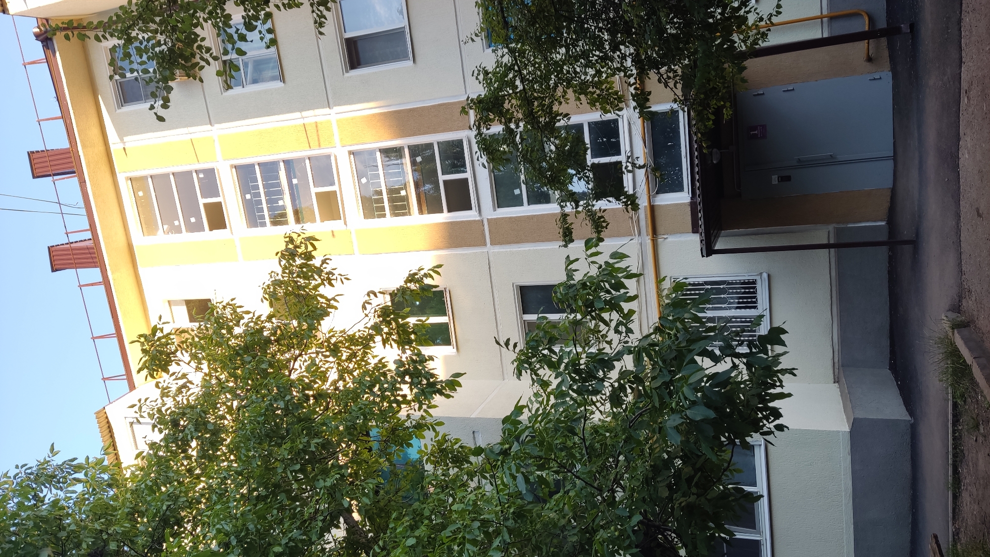 The image shows a multistory apartment building in Krasnodar, Russia. The building has a light-colored facade with horizontal bands of yellow and beige. There are many windows, some of which appear to be enclosed balconies. Trees with lush green foliage are in the foreground, partially obscuring the building. The sun is shining, casting shadows and highlighting parts of the building, suggesting it is daytime. The scene appears to be an exterior view of a residential area.
Visible details include a metal railing on the left side of the building, a yellow pipe running vertically along the facade, and a covered entrance with double doors on the right side of the building. There is also a window with a decorative metal grate. The ground in front of the building is a paved walkway with some grass growing along the edge. There is no visible text in the image. The overall mood is peaceful and ordinary, depicting a typical urban landscape.
