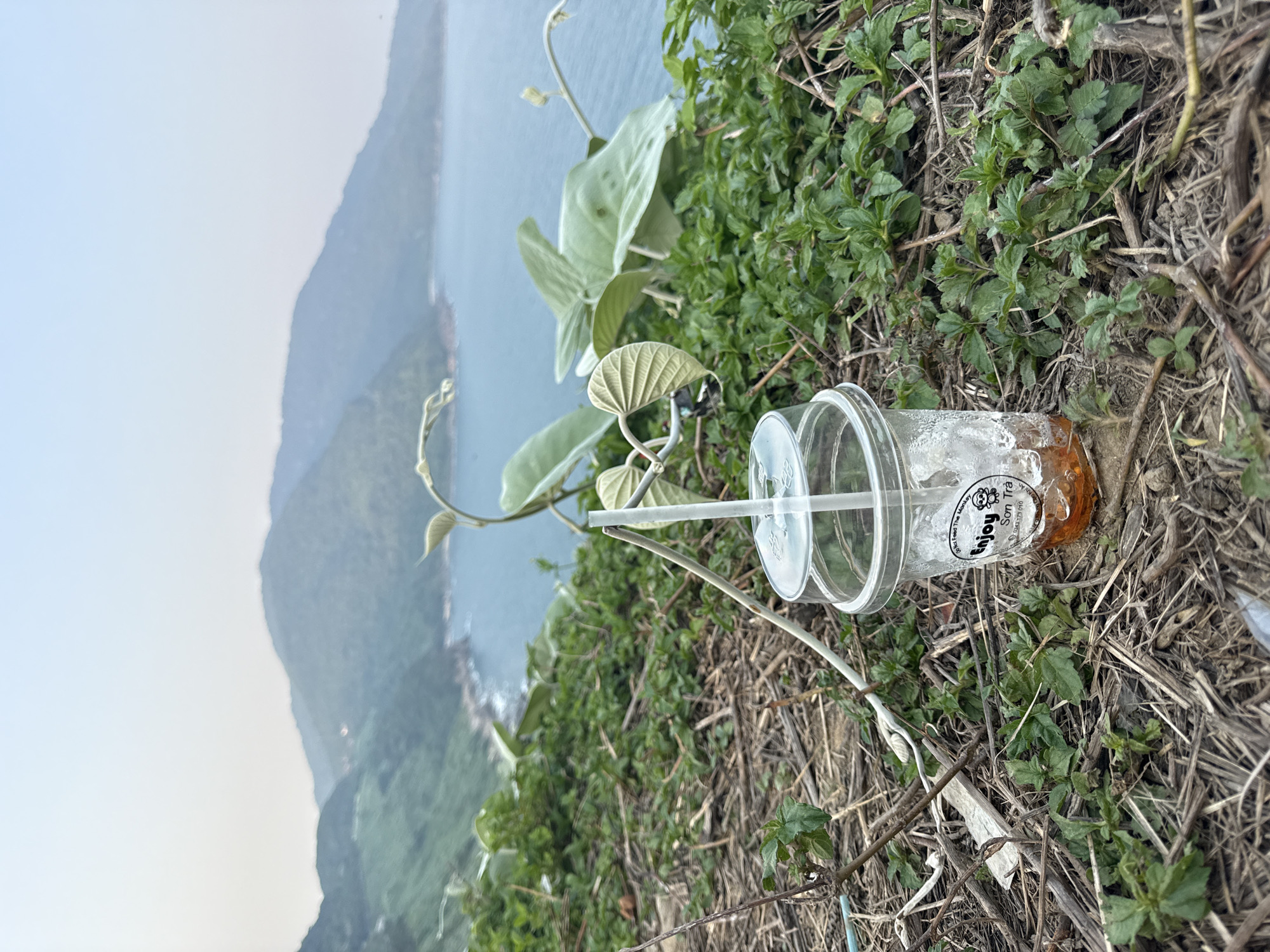 A clear plastic cup with a straw sits on the ground among vegetation, overlooking the city of Đà Nẵng, Vietnam. The cup contains a small amount of liquid and ice. Mountains are visible in the background, along with the sea. The foreground consists of a mix of green plants and dry, brown vegetation.