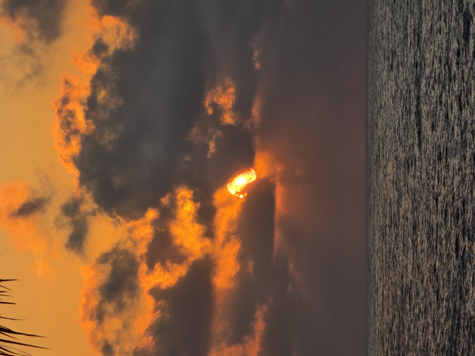 The image depicts a sunset over the ocean, with the sun partially obscured by dark, dramatic clouds. The sky is a vibrant orange, with streaks of lighter yellow and darker gray clouds creating a textured, dynamic backdrop. The sun itself is a bright, molten orb peeking through a gap in the clouds. The ocean below is dark and slightly choppy, reflecting the muted colors of the sky. A few palm fronds are visible at the top left corner of the image, suggesting a tropical or subtropical location. The scene appears to be a natural landscape, devoid of any man-made structures or human presence within the frame. Given the context provided about Hlorakas Community, Cyprus, this image likely captures a sunset over the Mediterranean Sea.