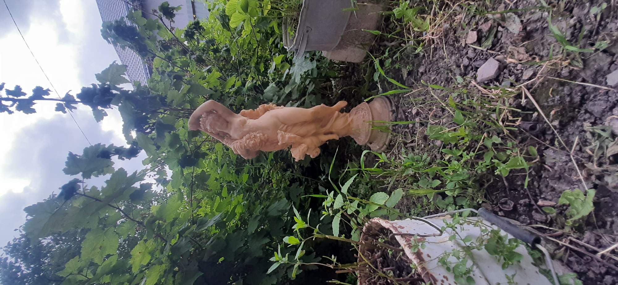 A nude female statue with grapes and cherubs is positioned outdoors in a garden setting. The statue is made of light brown material and stands on a pedestal. It is surrounded by lush green foliage, with a white bucket in the foreground to the left and a gray bin to the right. The sky is overcast, with clouds and hints of a building with a gray roof visible in the background. The image appears to be taken in Yessentukskaya, Russia, based on the provided context. The scene depicts a static composition within a natural, overgrown environment.