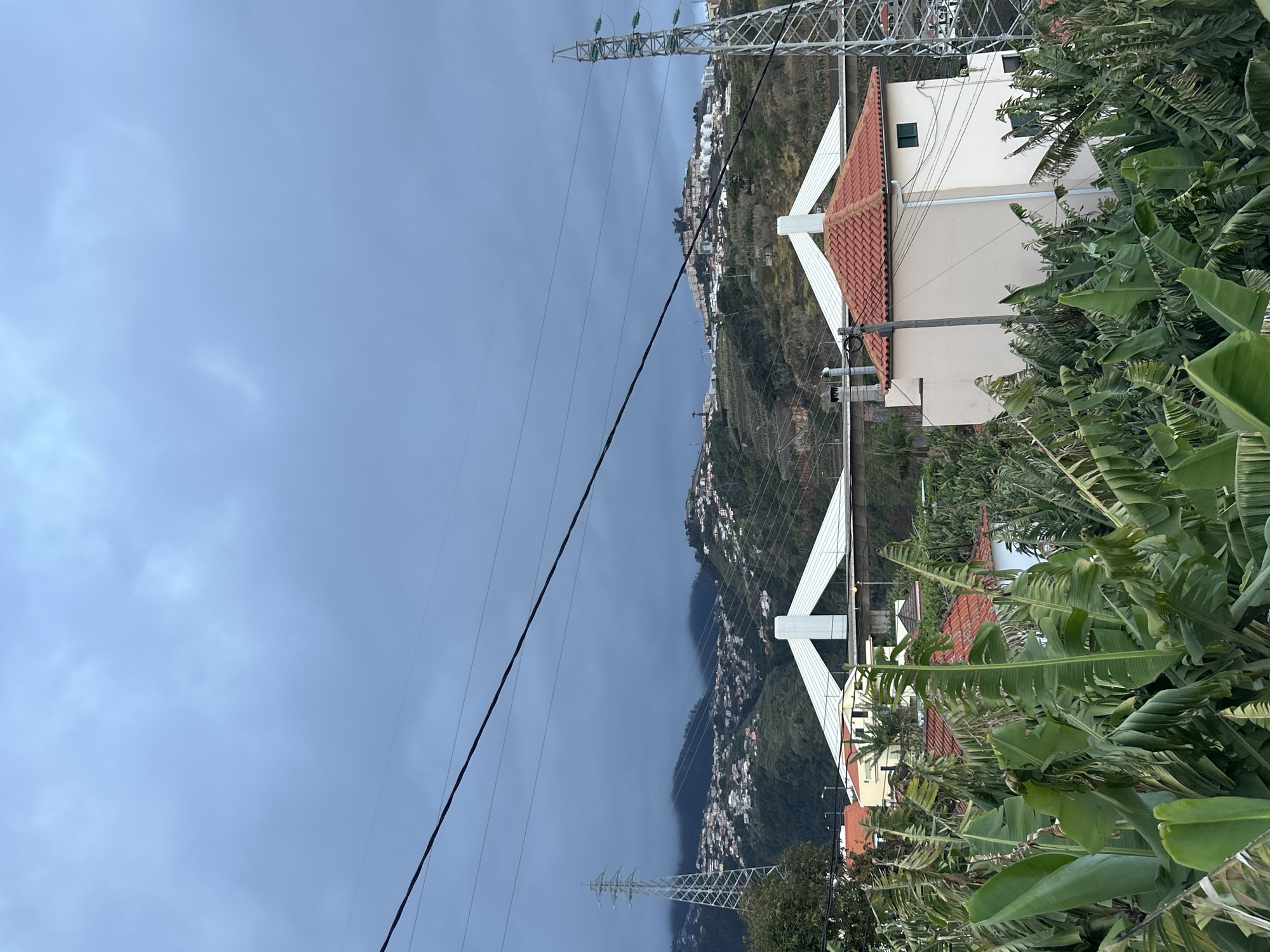 The image shows a hillside view from the city of Câmara de Lobos, Portugal. The sky is overcast. In the foreground, there are several banana trees on the right and the side of houses with red-tiled roofs. Power lines run across the image, and a power tower is visible in the upper-left corner. The hillside is densely populated with houses and vegetation.