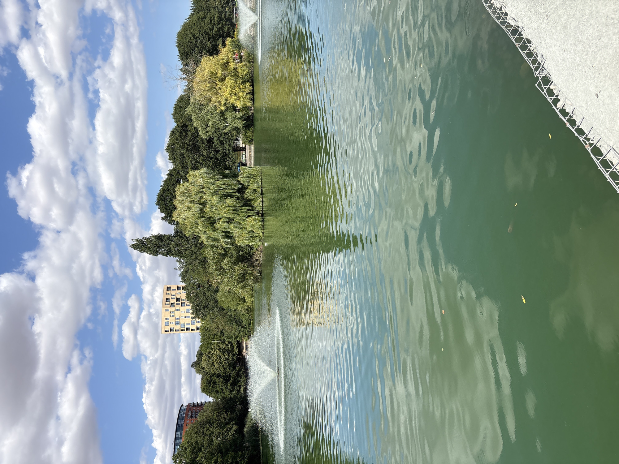 The image depicts a scenic view of a park lake with two fountains spraying water. The lake is surrounded by lush green trees and a few buildings are visible in the background, suggesting an urban park setting. One of the buildings is a modern, multi-story structure with a yellow facade and numerous windows. Another building on the left is curved with a reddish exterior. The sky is partly cloudy with bright white clouds scattered across a clear blue expanse. The water in the lake is a greenish hue, reflecting the sky and surrounding foliage. The foreground shows a portion of a paved area with a metal railing, indicating a viewing platform or walkway. The overall impression is one of a tranquil day in a well-maintained park. This scene is consistent with Hylands Park in Chelmsford, United Kingdom, known for its expansive grounds, gardens, and natural beauty, often featuring such water features and surrounded by greenery and occasional architectural elements within its landscape.