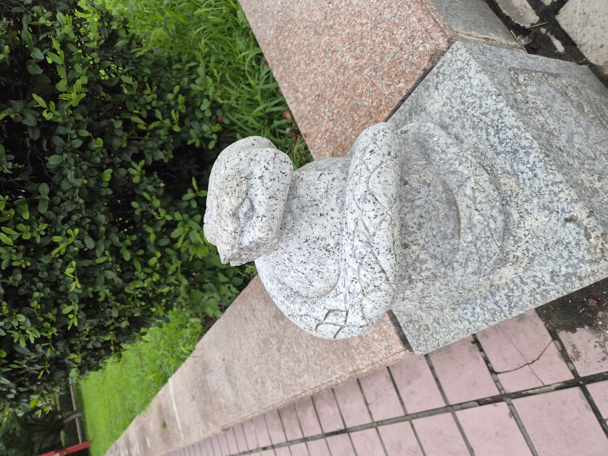 A stone sculpture of a coiled snake is situated outdoors on a granite ledge. The snake statue is carved from speckled gray stone and is positioned in the foreground, with its head resting on its coiled body. Behind the sculpture, a dense green bush is visible, with green grass extending to the left. A path made of pinkish square tiles borders the granite ledge. The scene appears to be in a park or public garden area. The specific location is a garden in the city of Hunchun, Jilin Province, China.