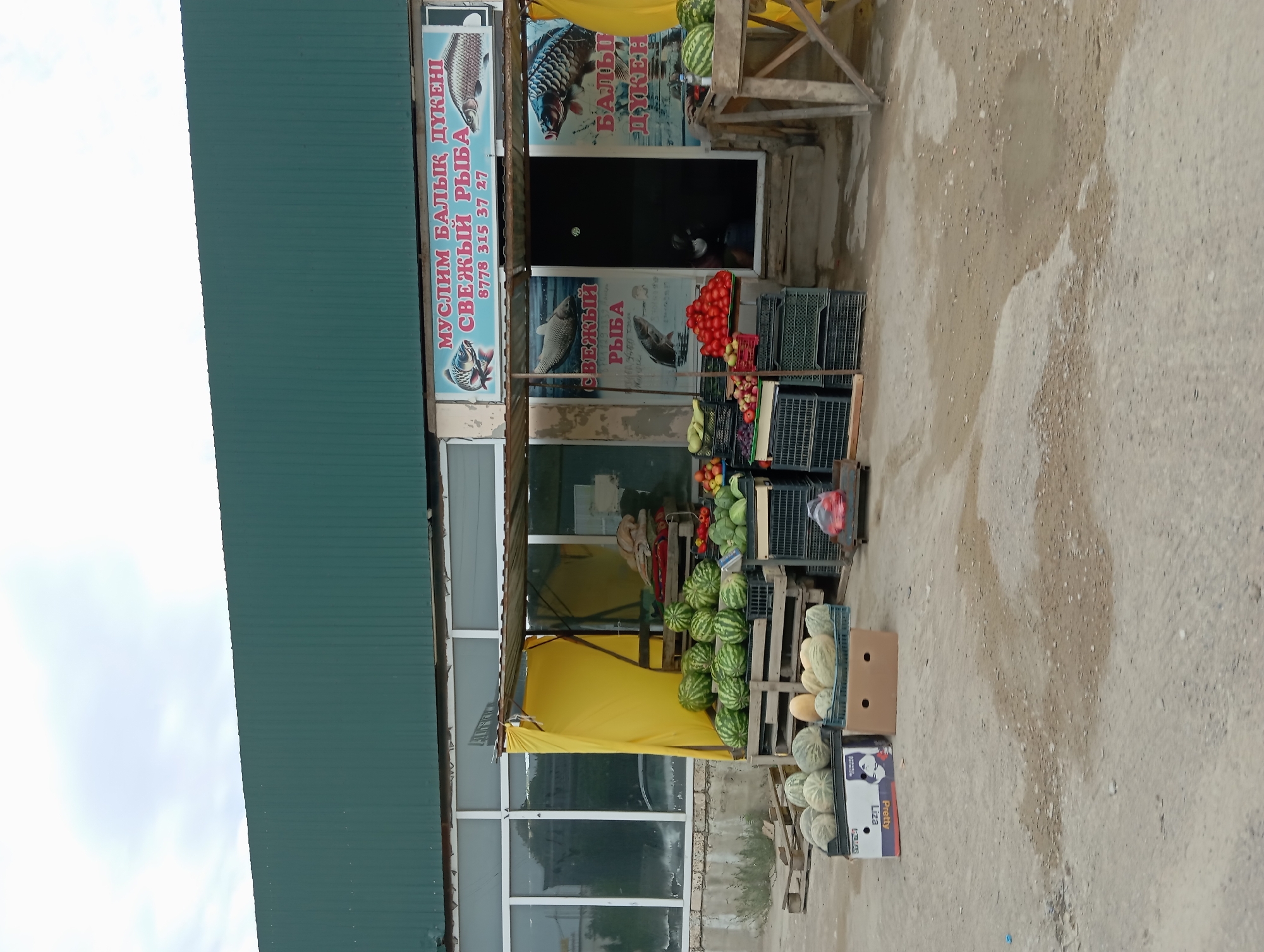 The image depicts an outdoor market stall in Aktau, Kazakhstan, situated in front of a long, green corrugated metal building with large windows. The stall is selling fresh produce, primarily watermelons and melons, arranged in wooden crates and boxes. To the left of the stall, several large, round watermelons are stacked on wooden pallets. More watermelons are displayed in wooden crates and plastic baskets. In front of the stall, there are boxes and crates containing various fruits and vegetables, including what appear to be cantaloupes, tomatoes, grapes, and possibly cucumbers or zucchini.
Above the stall, a sign with blue lettering and images of fish reads "МУСЛИМ БАЛЫК ДҮКЕНІ СВЕЖЫЙ РЫБА" which translates to "Muslim Fish Shop Fresh Fish" along with a phone number "8778 315 37 27". Another sign to the right also advertises fish. The entrance to the shop behind the stall is visible, with a dark interior. The ground is a mix of dirt and gravel, with some puddles indicating recent rain. The overall atmosphere is that of a local, open-air market. No people are clearly visible in the image.