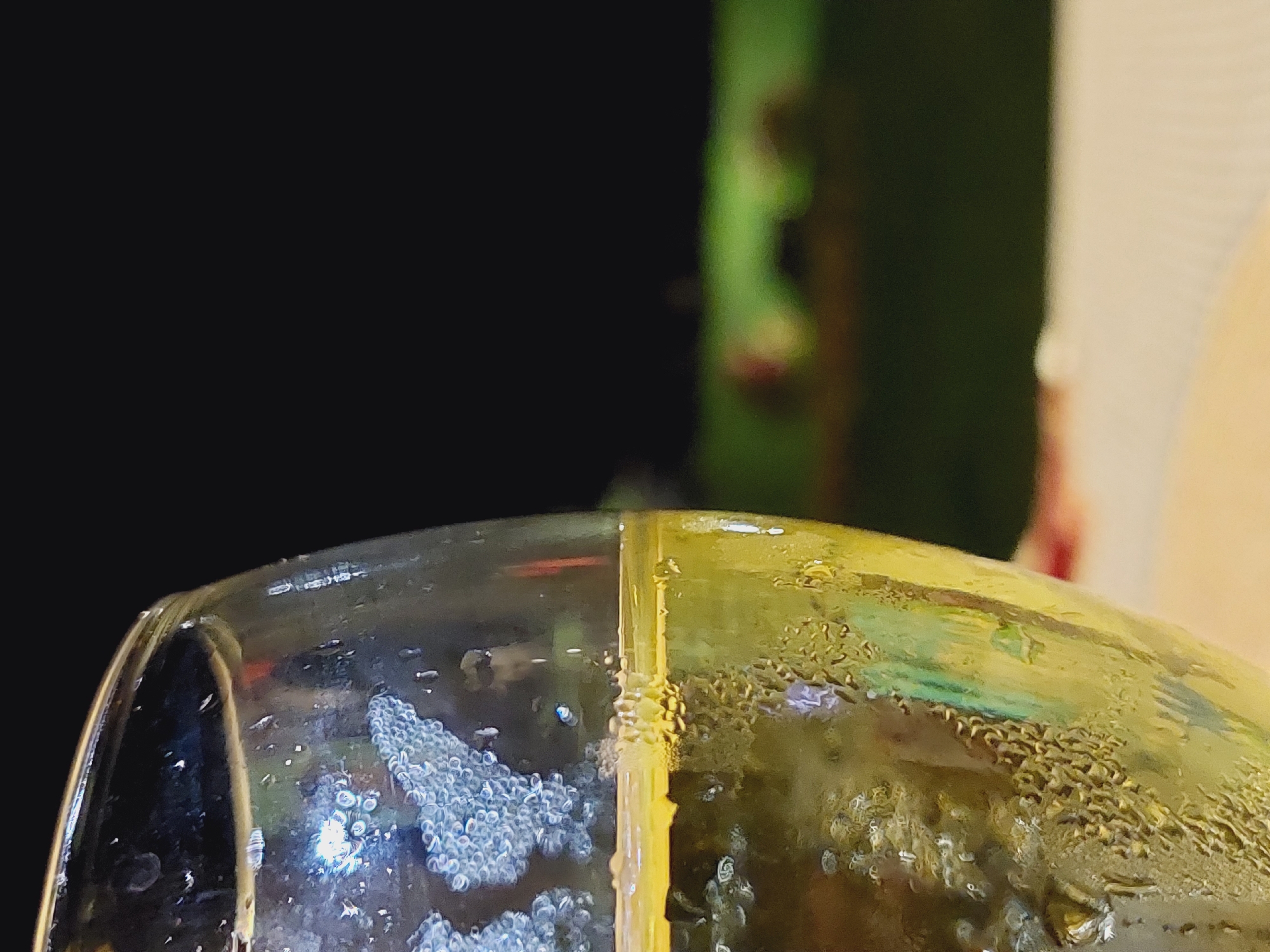 The image is a close-up shot of a glass filled with a pale yellow liquid, likely white wine or champagne, with bubbles visible on the inside of the glass. The glass is frosted on the exterior, indicating it is cold. In the background, out of focus, there is a dark area above a blurry green landscape with hints of red and yellow, suggesting an outdoor evening setting, possibly a garden or terrace. The location in Sozopol, Bulgaria cannot be determined from the image.