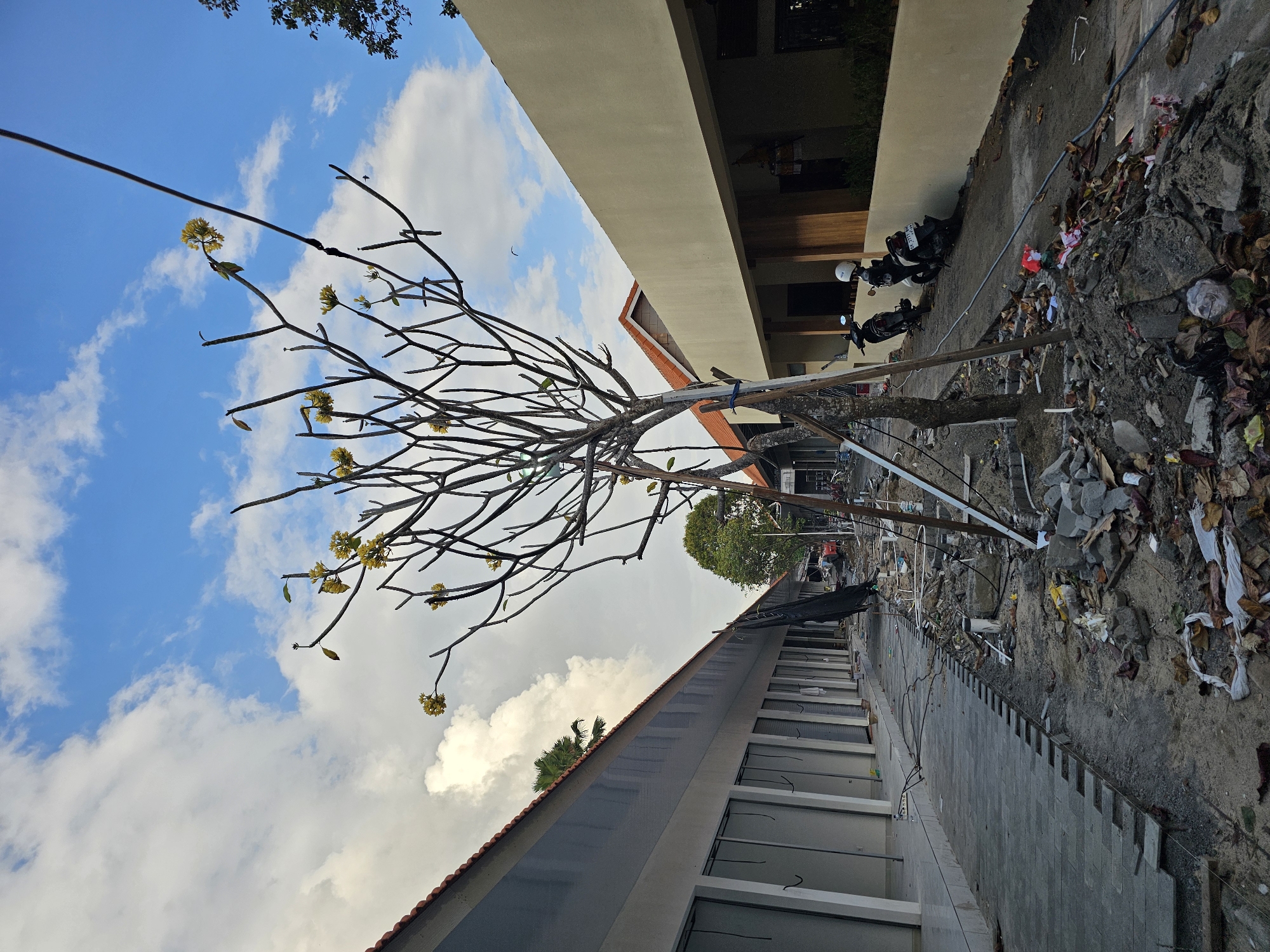 The image depicts a street scene in Denpasar, Indonesia, characterized by ongoing construction and a state of disarray. On the left, a row of buildings with closed shutters lines a sidewalk that is partially paved. The ground in front of these buildings is a mixture of dirt, debris, and exposed construction materials, including pipes and concrete fragments. A young tree with sparse yellow flowers is prominently featured in the foreground, supported by wooden stakes.
To the right, another building with a light-colored facade and wooden accents is visible. Parked motorcycles are situated along the side of this building. The area between the buildings is covered in a considerable amount of construction debris, fallen leaves, and litter, suggesting a site undergoing development or renovation. The sky above is partly cloudy, with a mix of blue sky and white clouds. The overall impression is one of a busy, urban environment in the midst of change or repair.