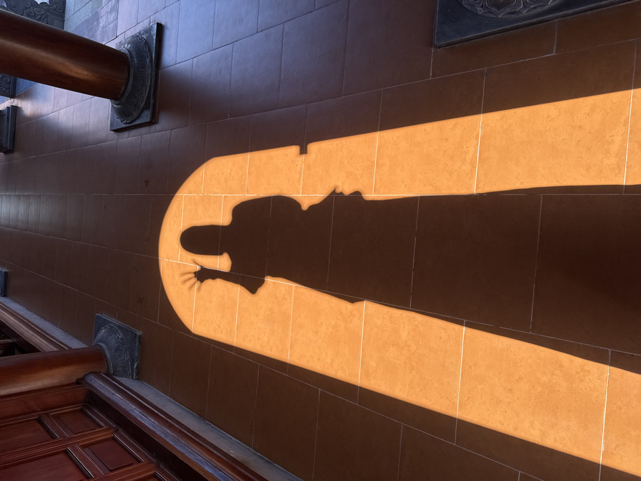 This image depicts a tiled corridor or hallway within a building in Unknown, Vietnam. A prominent dark silhouette of a person, likely an adult, is cast upon the terracotta-colored floor. The silhouette's left arm is raised, with the hand open in a waving gesture. The shadow is positioned within a brightly illuminated, arch-shaped area of direct sunlight on the floor, indicating a light source from an overhead arched opening. To the left, a dark wooden panel or door with visible detailing lines a wall. To the right, two dark, possibly wooden or stone columns with decorative bases stand upright, supporting an unseen structure. The floor beyond the direct sunlight appears in darker shades of brown and blue-grey. The scene captures a moment of strong natural light and shadow play within an architectural setting.