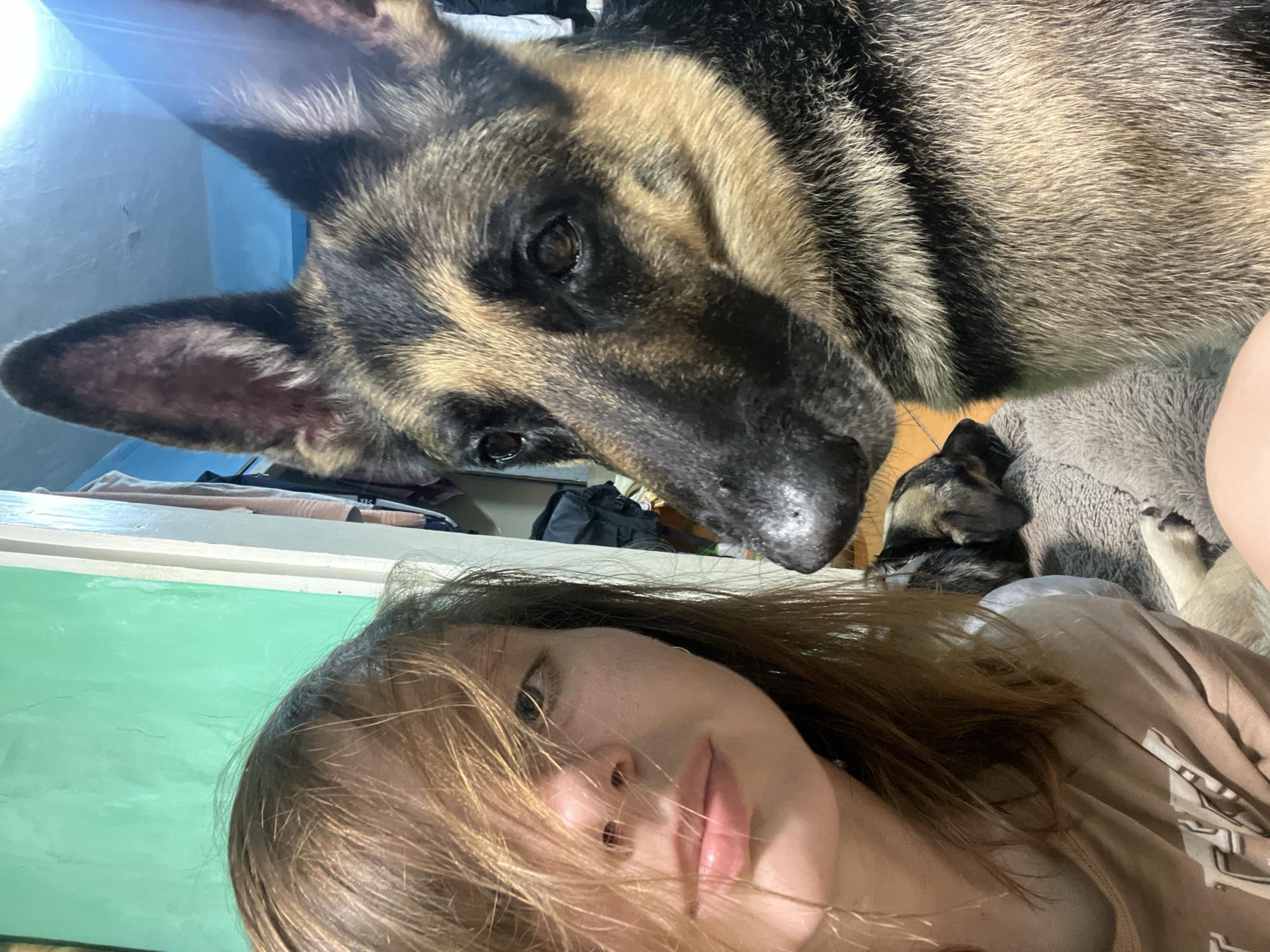 In Nizhny Tagil, Russia, a selfie-style photograph captures a person with long, brown hair partially obscuring their face, looking towards the camera. To the right of the person, a German Shepherd dog's head and upper body are prominently featured, with its ears pointed upwards and its gaze directed slightly off-camera. Another dog, appearing to be a German Shepherd as well, is lying down in the background, between the person and the larger dog. The environment appears to be indoors, with a wall painted a vibrant green visible on the left side of the frame and a doorway or closet with hanging clothes in the background. The overall impression is an intimate, casual moment shared between a person and their pets.