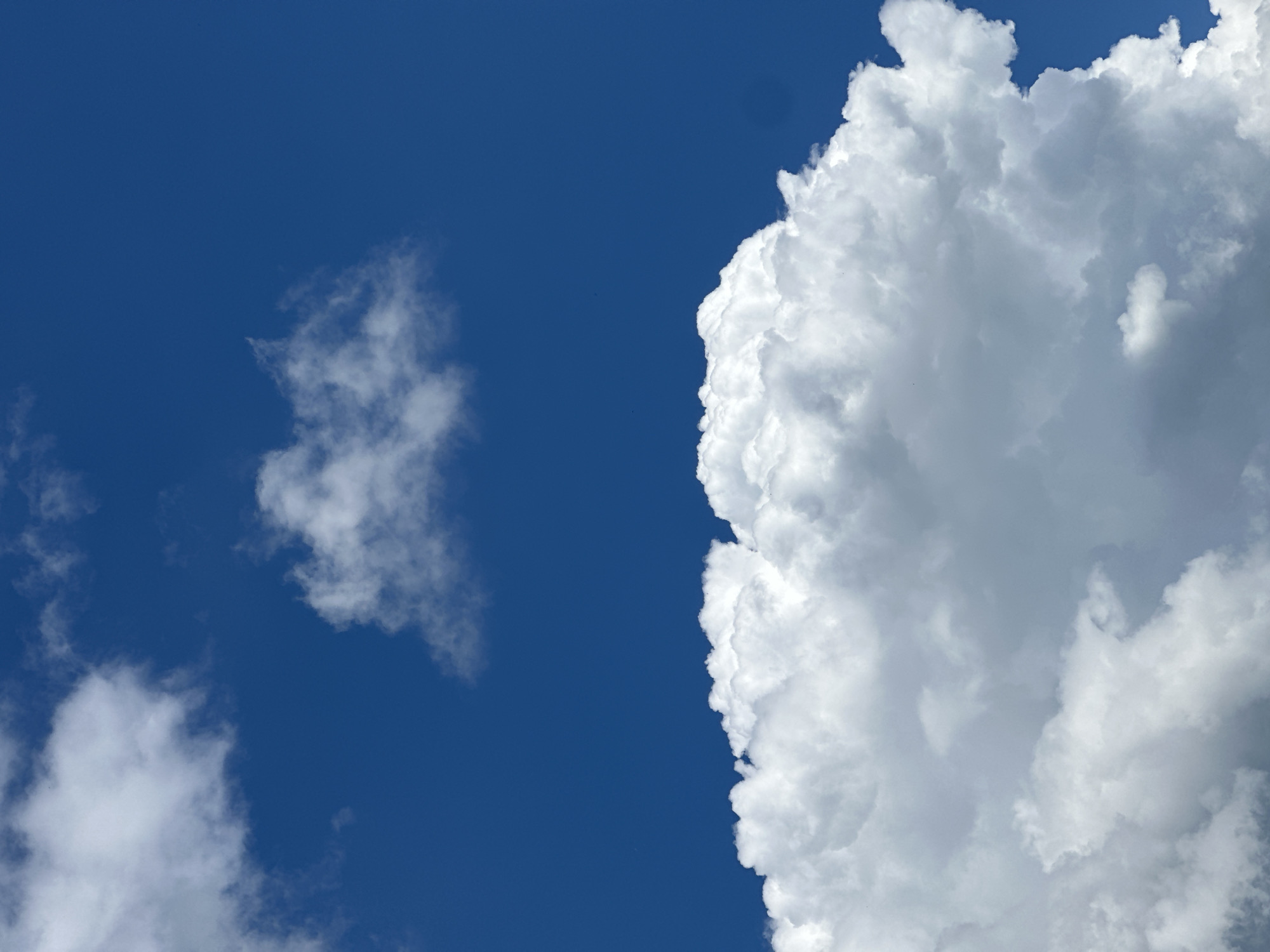 A bright blue sky is dotted with white, fluffy clouds. The majority of the lower half of the frame is filled with a large cumulus cloud formation. Smaller, wispy clouds are scattered in the upper half of the image, with one particularly distinct cloud centered in the upper portion of the sky. The lighting suggests it is daytime, with the sun illuminating the clouds from above. There are no people, animals, or man-made objects visible in the frame.