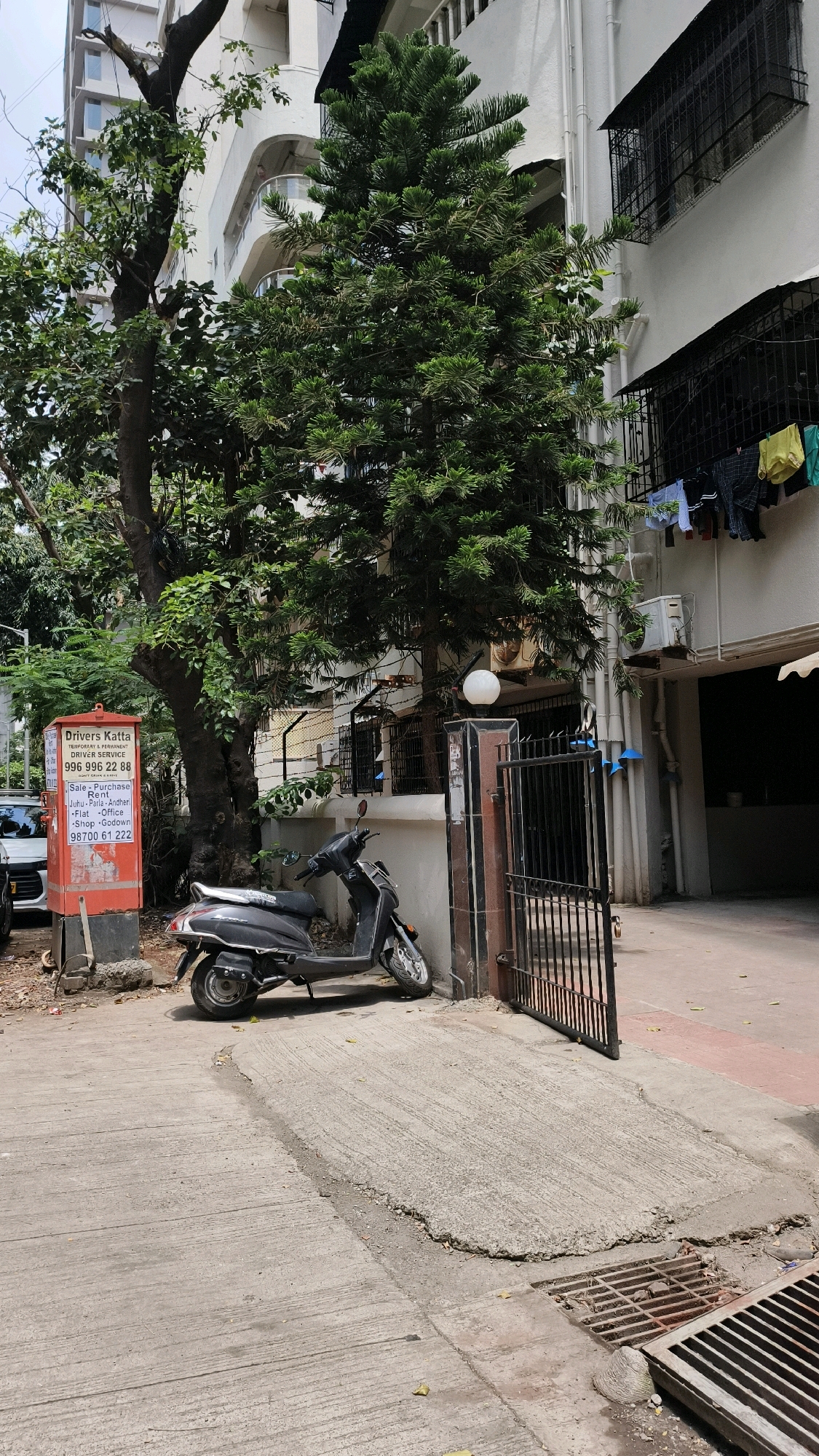 The image shows a street scene in Mumbai, India, outside an apartment building. On the left, a red sign is mounted on a post, advertising "Drivers Katta" with phone numbers and services like driving school, car sale, and purchase. Next to it, a dark-colored scooter is parked on a paved surface. A tall, evergreen tree with dense foliage stands prominently in the center, its branches reaching towards the building. The building itself has multiple stories with balconies and windows, some covered with metal grills. Laundry, including shirts, shorts, and undergarments, is hung to dry on a clothesline on one of the balconies. A black metal gate is partially open to the right of the scooter, leading to a pathway or entrance. The ground in the foreground is a concrete pavement with a drainage grate. The overall scene depicts a typical urban environment in Mumbai with elements of daily life visible.