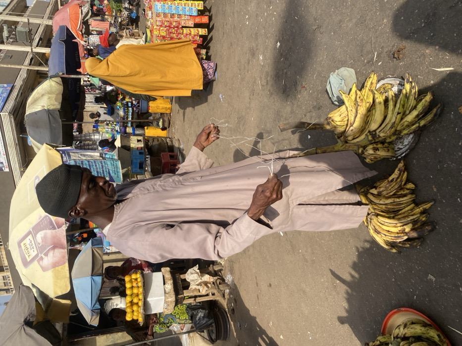 The image captures a vibrant outdoor market scene in Maiburiji, Nigeria, under bright daylight with strong shadows. In the foreground, an elderly man, likely a vendor, is prominently featured, wearing a light-colored long tunic (possibly a jubbah or thobe) and a black skullcap (kufi). He holds several thin, branched white sticks in both hands, which appear to be miswak or chewing sticks. Near his feet, large bunches of ripe yellow bananas are displayed on round metal trays directly on the asphalt ground, indicating he may also be a banana seller.
In the midground and background, the market stretches out with numerous stalls and other individuals. A person clad in a bright yellow head covering and long garment is visible from behind, standing near a stall stocked with various packaged goods like biscuits or snacks, characterized by prominent red and yellow packaging. Other stalls feature items such as bottles, jerry cans, and crates. Another vendor's stall, shaded by a yellow umbrella, displays bright yellow lemons or limes, with other green produce visible on the ground nearby. Several other umbrellas (yellow, blue, black) provide shade for different market sections. Buildings form the backdrop of the bustling market.
The scene depicts typical daily life in a Nigerian market, with vendors engaging in commerce. The time of day is clearly daytime, indicated by the strong shadows cast by people and objects. On a sign or umbrella to the left, partial text "TOPIK" and "N3" is visible. The overall atmosphere is one of commerce and community activity.