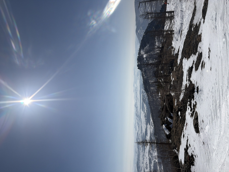 A panoramic landscape photograph depicts a snow-covered mountainous environment under a clear, bright blue sky in the city of Zelenaya Polyana, Russia. The sun, prominent in the upper left quadrant, emits strong rays and generates a multi-colored lens flare visible across the upper right. The immediate foreground features rugged, dark rock formations interspersed with irregular patches of snow and sparse, leafless trees. A distinct bare tree trunk with dark branches is visible on the far left. The midground is dominated by a dark, treed mountain ridge, partially covered in snow, extending horizontally across the frame. A small, blurry figure, appearing to wear red attire, is present on a snowy slope towards the right side of the midground. The background reveals a vast expanse of snow-dusted rolling hills and valleys that gradually fade into a hazy, pale horizon. The scene is illuminated by strong daylight, indicating a clear, sunny winter or early spring day.