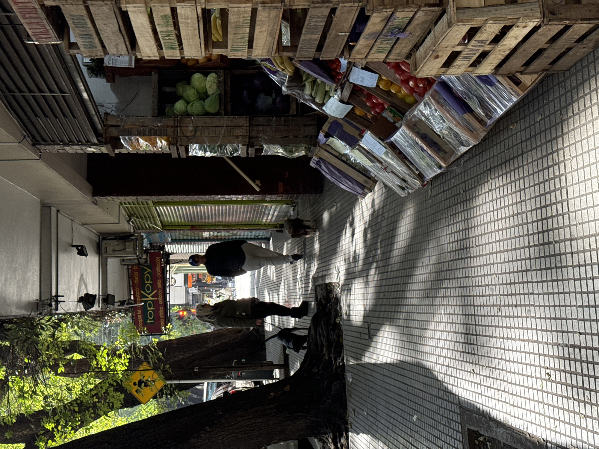 Here is a detailed description of the image:
**Setting:** The image depicts a commercial area, likely a street market, in Buenos Aires, Argentina. Fruits and vegetables are prominently displayed in wooden crates lining the sidewalk. The sidewalk is tiled with a small, square grid pattern. Shadows suggest it is a sunny day.
**People:** Two individuals are walking down the sidewalk. One person, with light-colored hair, is walking a black dog. They are dressed in a khaki jacket and dark pants. Further ahead, another person in a dark jacket and light pants is walking along the sidewalk with a light-colored dog, also walking in the same direction.
**Objects:** Several wooden crates filled with produce (such as cabbages, bananas, cucumbers, tomatoes, and bell peppers) are stacked up along the side of the path. A sign for "topKopy" is visible. A tree with green leaves is visible on the left, partially obscuring a street sign with a graphic of falling branches.
**Actions:** The people are walking their dogs down the sidewalk. The vendor presumably has his goods displayed for sale.
**Environment:** The area appears to be a bustling commercial zone. The sidewalk provides a clear path for pedestrians. The presence of the tree and produce stands contributes to a street-market atmosphere.