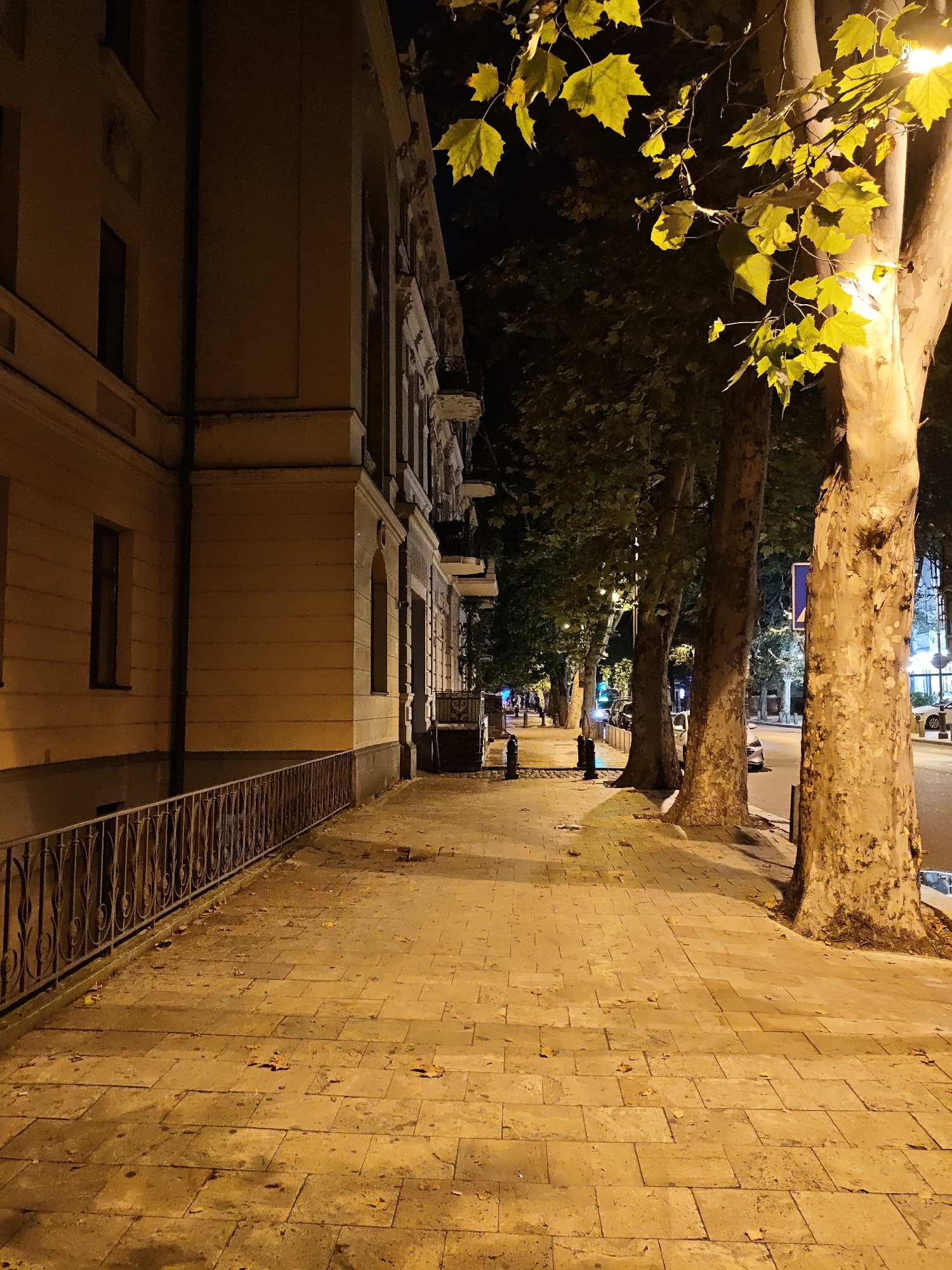 The image depicts a nighttime scene on a tree-lined street in Tbilisi, Georgia. A sidewalk paved with large, rectangular stone tiles runs along the left side of the frame, bordered by a decorative metal fence. To the left of the sidewalk is a light-colored building with several windows. Several mature trees with thick, textured bark line the right side of the sidewalk, their branches extending over the walkway. Yellowish streetlights illuminate the scene, casting warm light and creating distinct shadows. Fallen yellow leaves are scattered across the sidewalk and at the base of the trees, suggesting it is autumn. In the background, a street is visible with parked cars and a few figures walking, indicating a public area. The overall atmosphere is quiet and serene, typical of a European city at night.