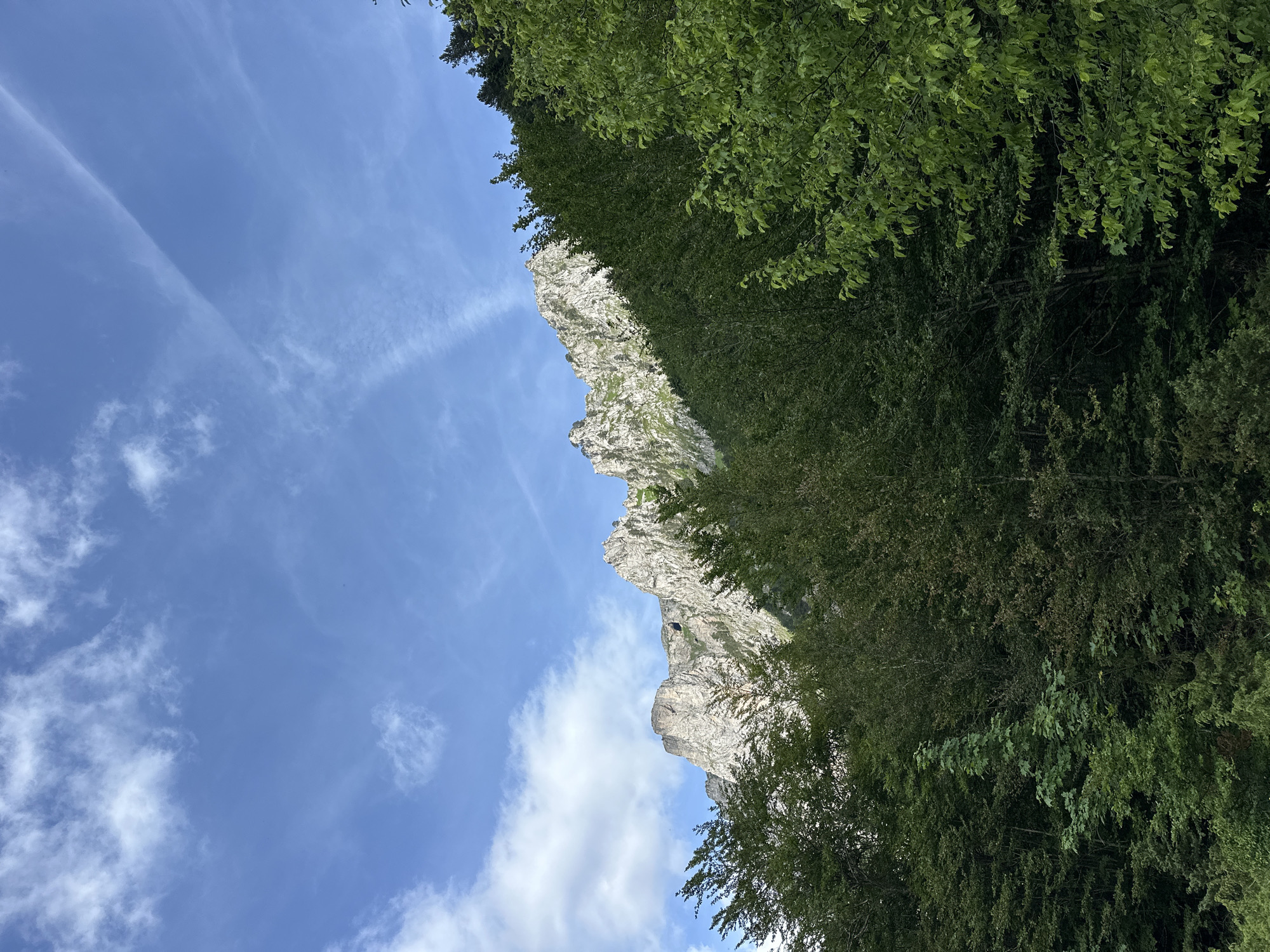 A scenic view shows a rugged, rocky mountain range with patches of green vegetation on its slopes, extending upwards towards a bright blue sky dotted with wispy white clouds. The lower portion of the image is dominated by a dense, lush forest of dark green trees, with some lighter green foliage visible. A dark opening, possibly a cave or crevice, can be seen in the side of the mountain. The image appears to be taken from a lower vantage point, looking up towards the mountain and sky. This natural landscape is consistent with the mountainous terrain found in and around Dolja, Montenegro. There are no people or specific man-made structures visible in the frame.