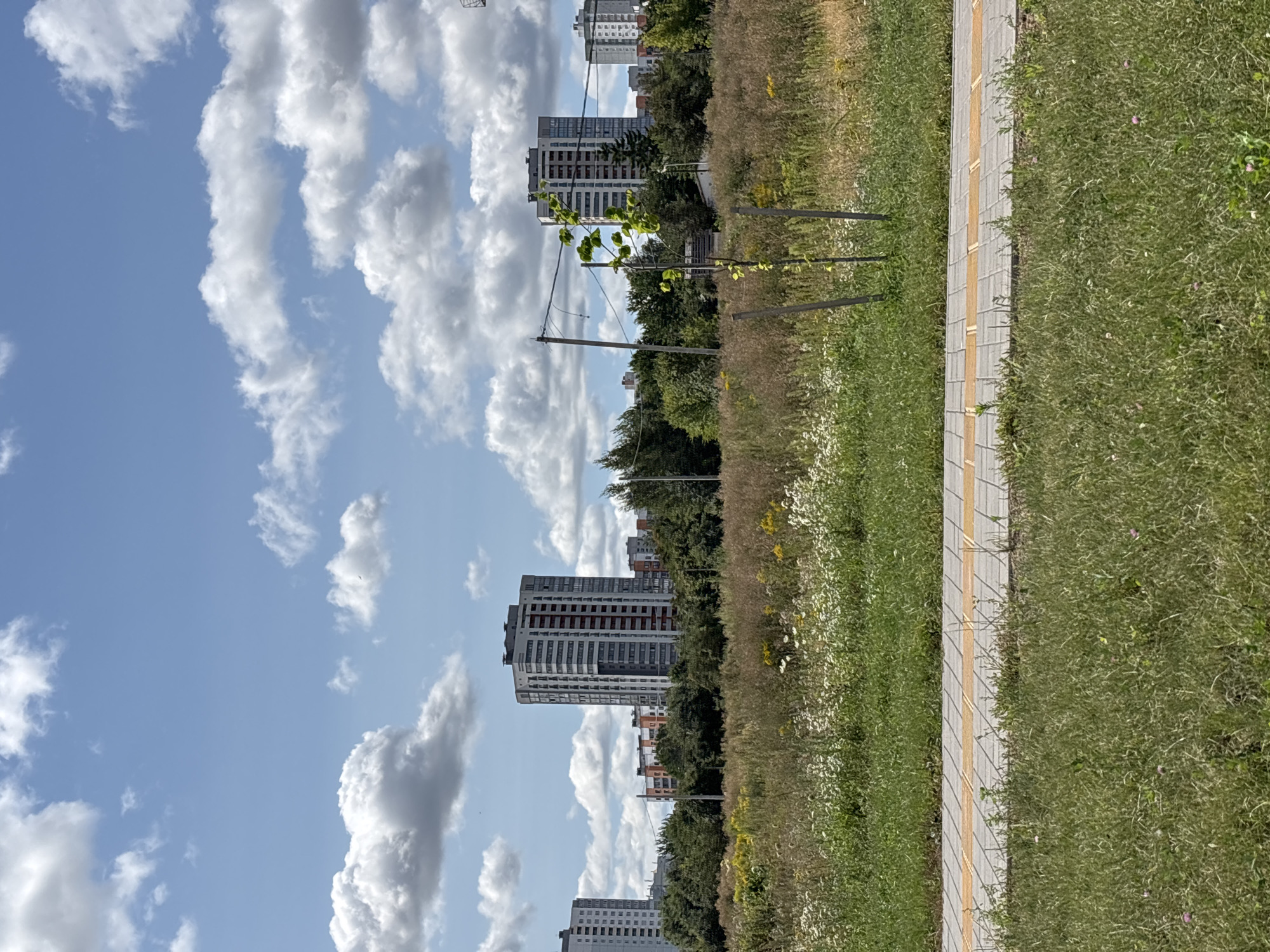 The image depicts a suburban landscape with modern high-rise apartment buildings in the background, set against a bright blue sky with scattered white clouds. In the foreground, there is a strip of paved walkway with tactile paving, bordered by grassy areas and a field of wild vegetation featuring various wildflowers. A young tree, supported by stakes, is also visible in the grassy area. The scene appears to be a public space in Minsk, Belarus, likely a park or a residential development with integrated green spaces. There are no people or animals present in the image, and no particular actions or interactions are taking place. The environment is characterized by a mix of urban infrastructure and natural elements.